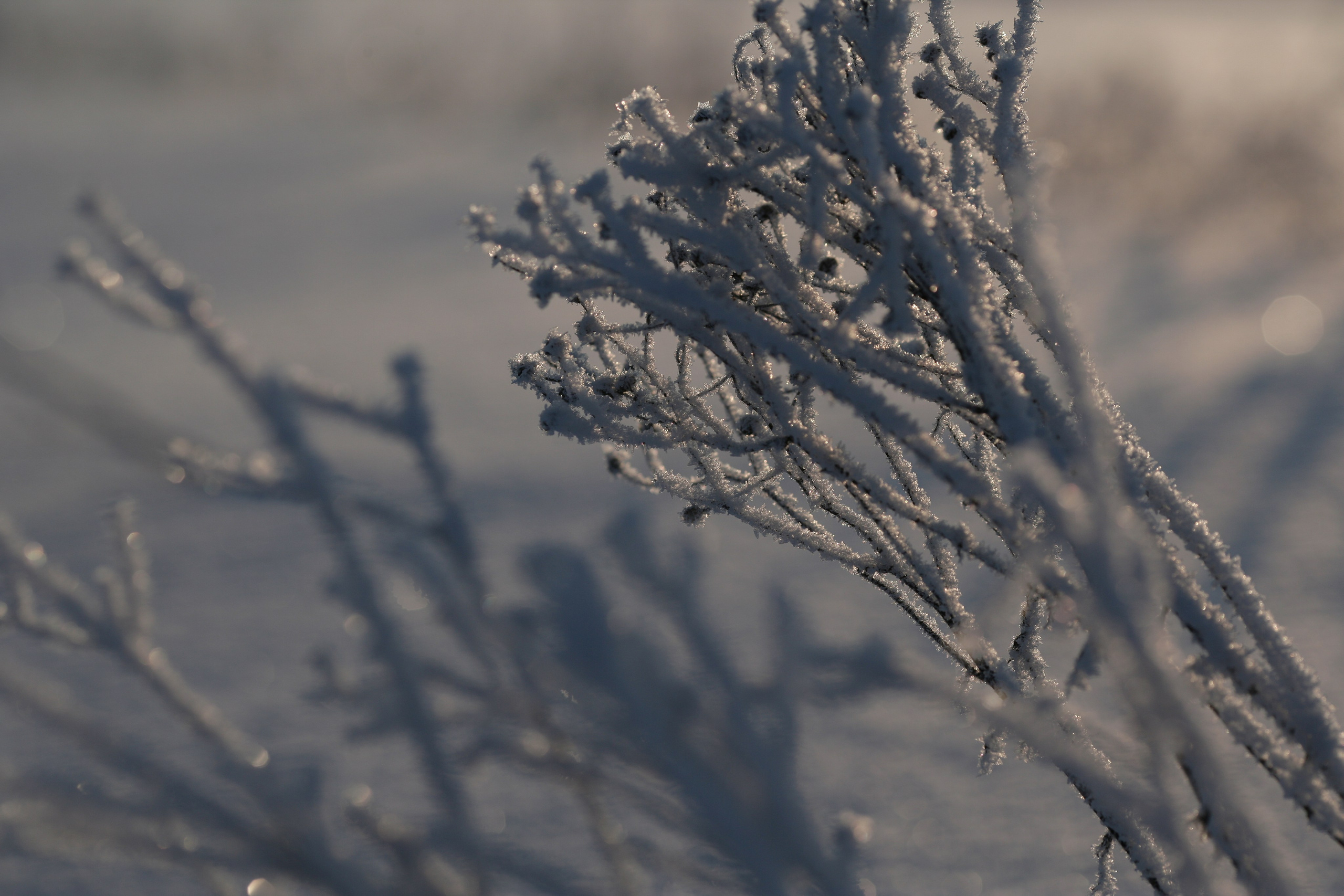 Услуги. Портретный фотограф в Москве Павел Горчаков