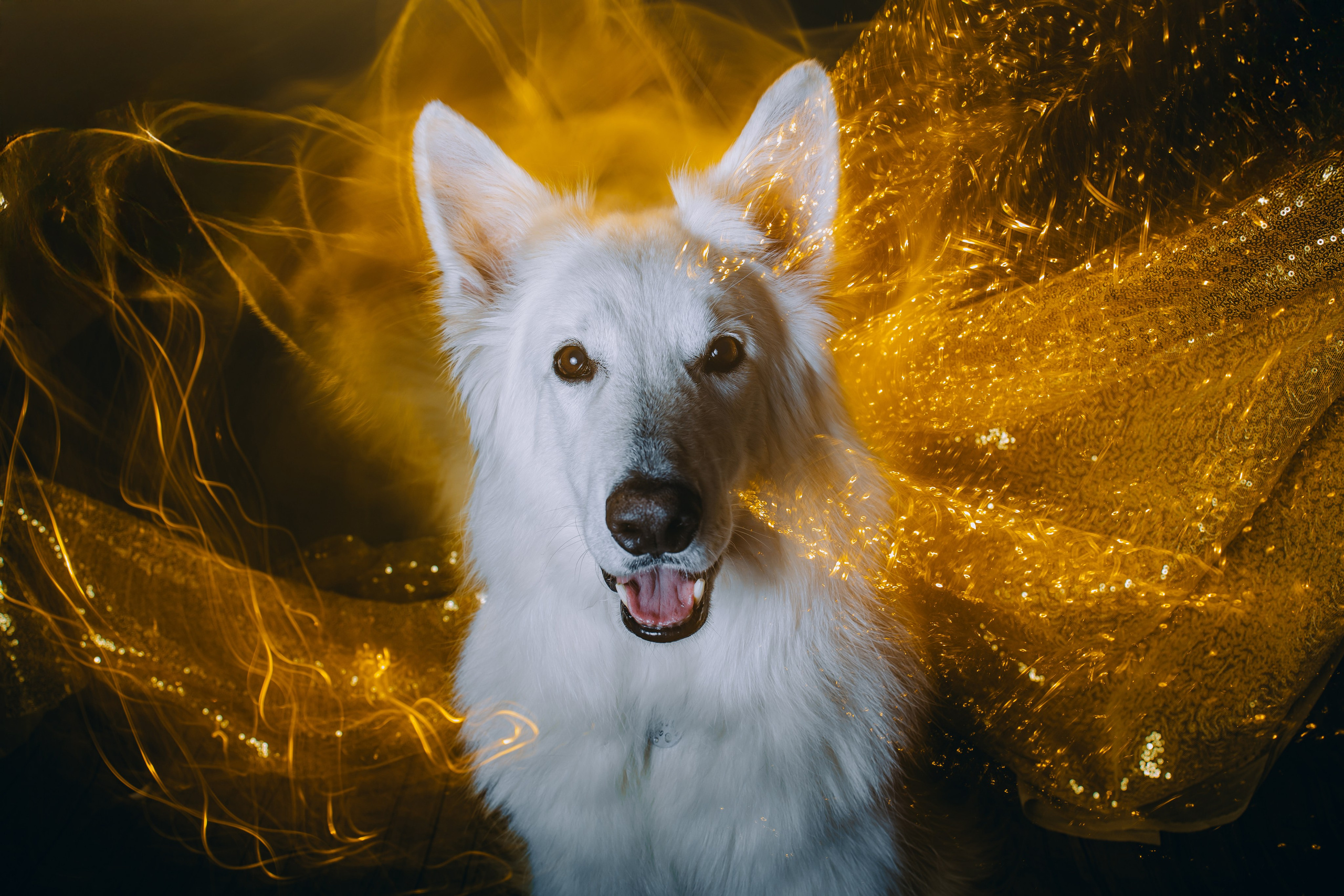 Как снимать со смешанным светом: создаем магию в кадре