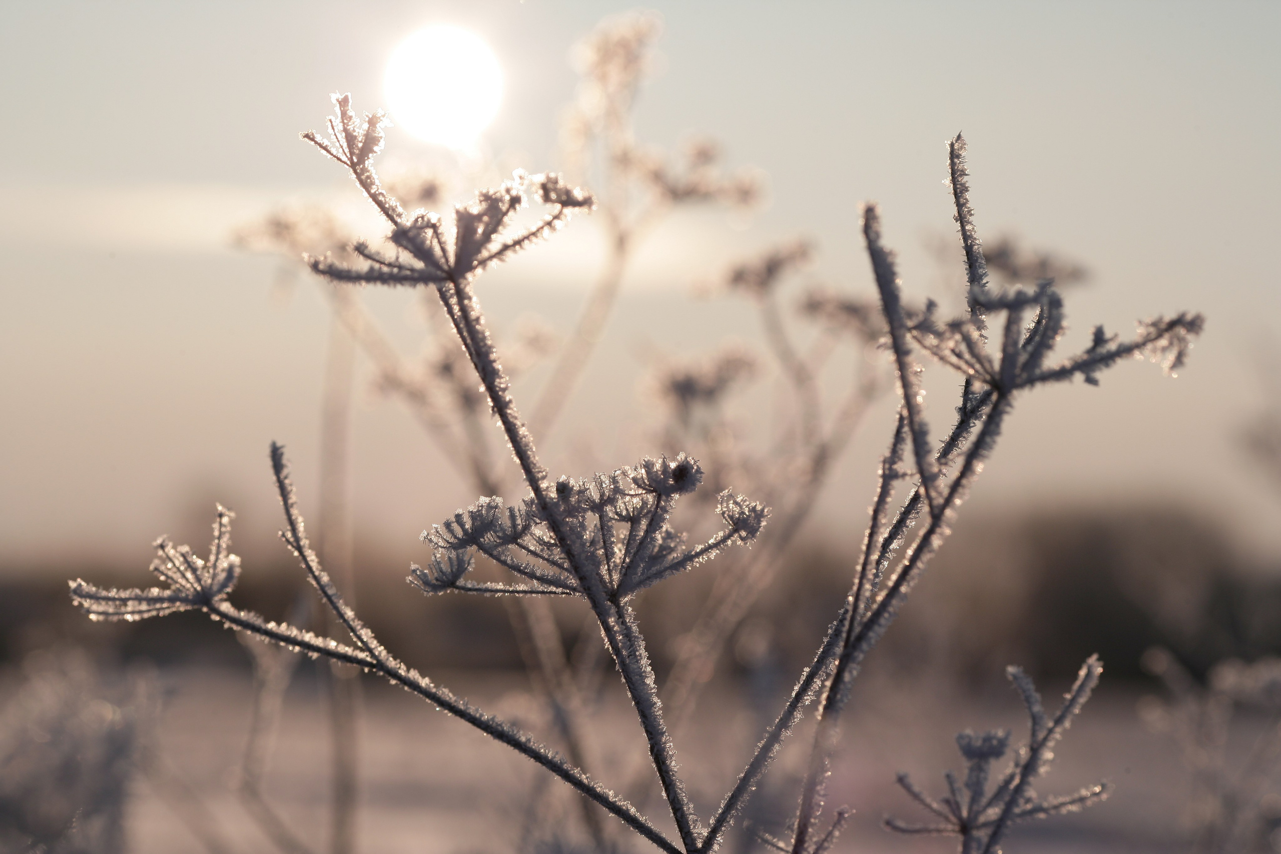 Услуги. Портретный фотограф в Москве Павел Горчаков
