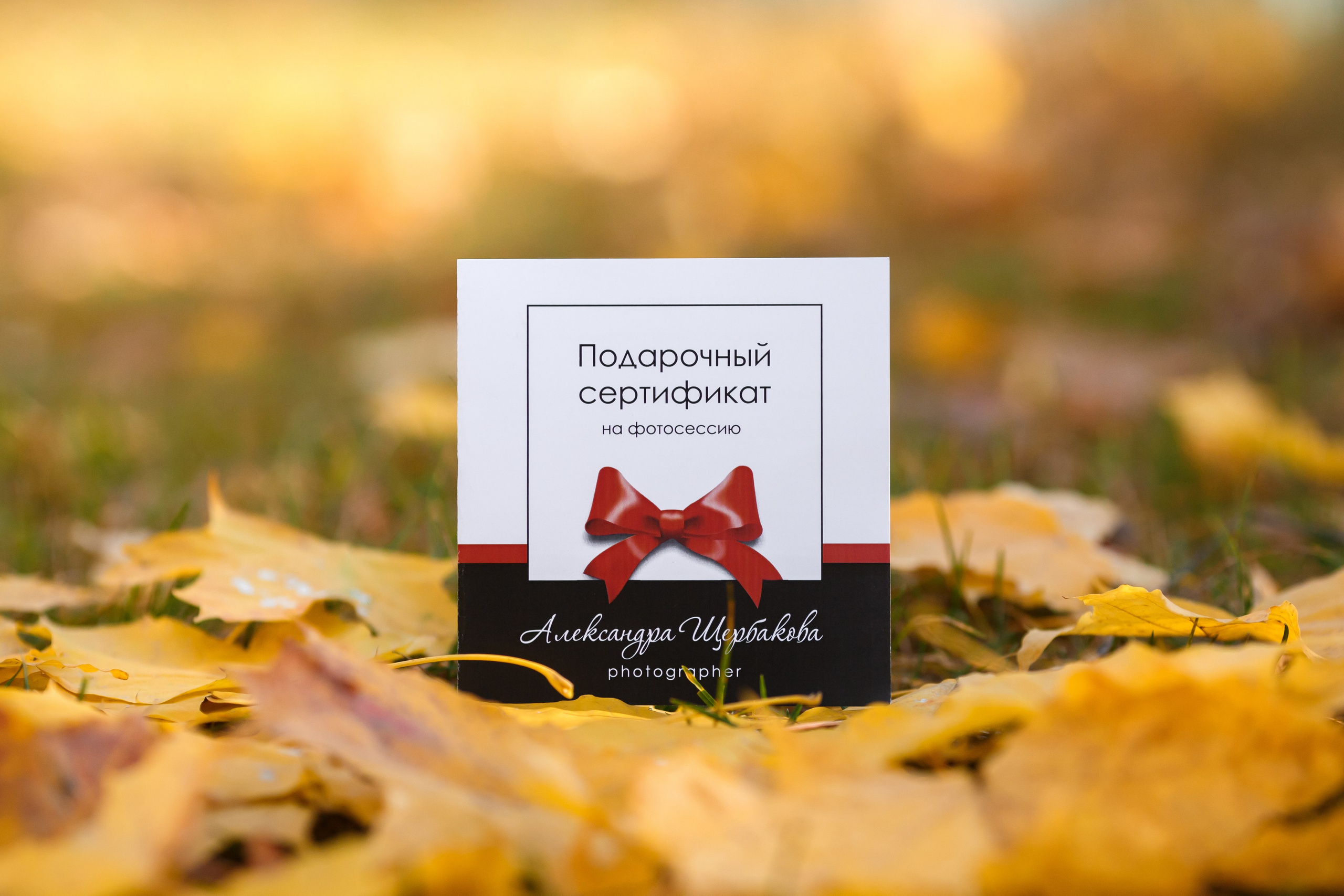 Услуги и цены. Семейный фотограф в Брянске Александра Щербакова