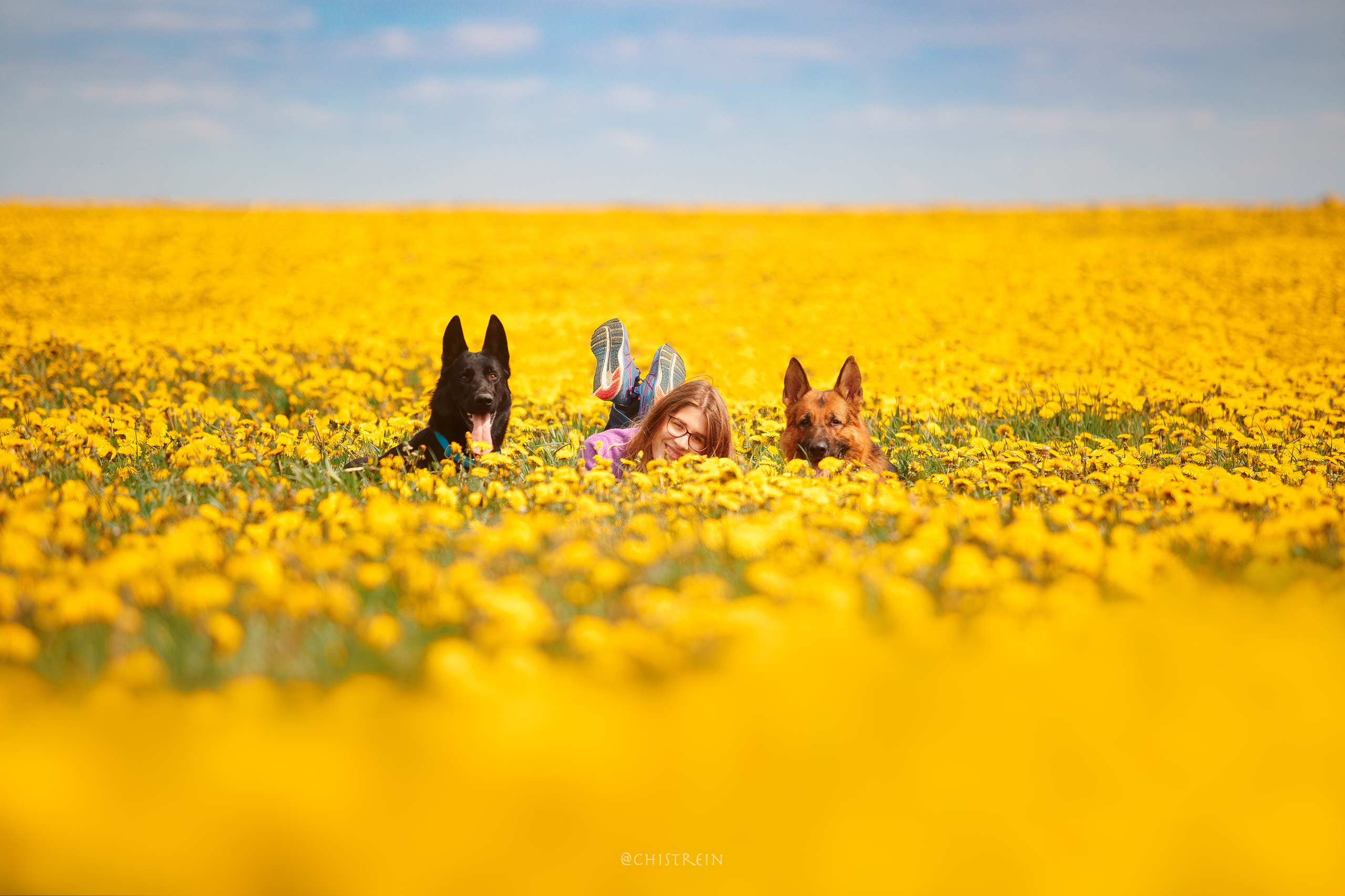 Контакты. Фотограф-анималист Наталия Чистюхина в г. Сосновый Бор и ЛО