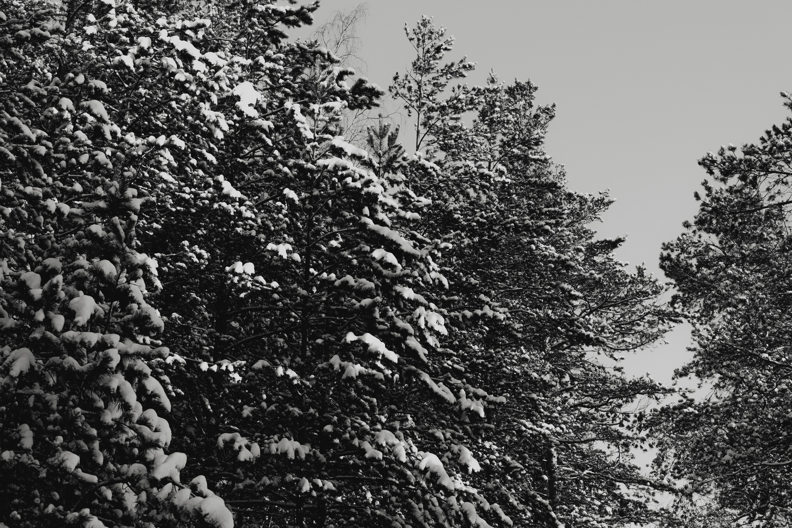 Денис Марков. URAL REPORTER