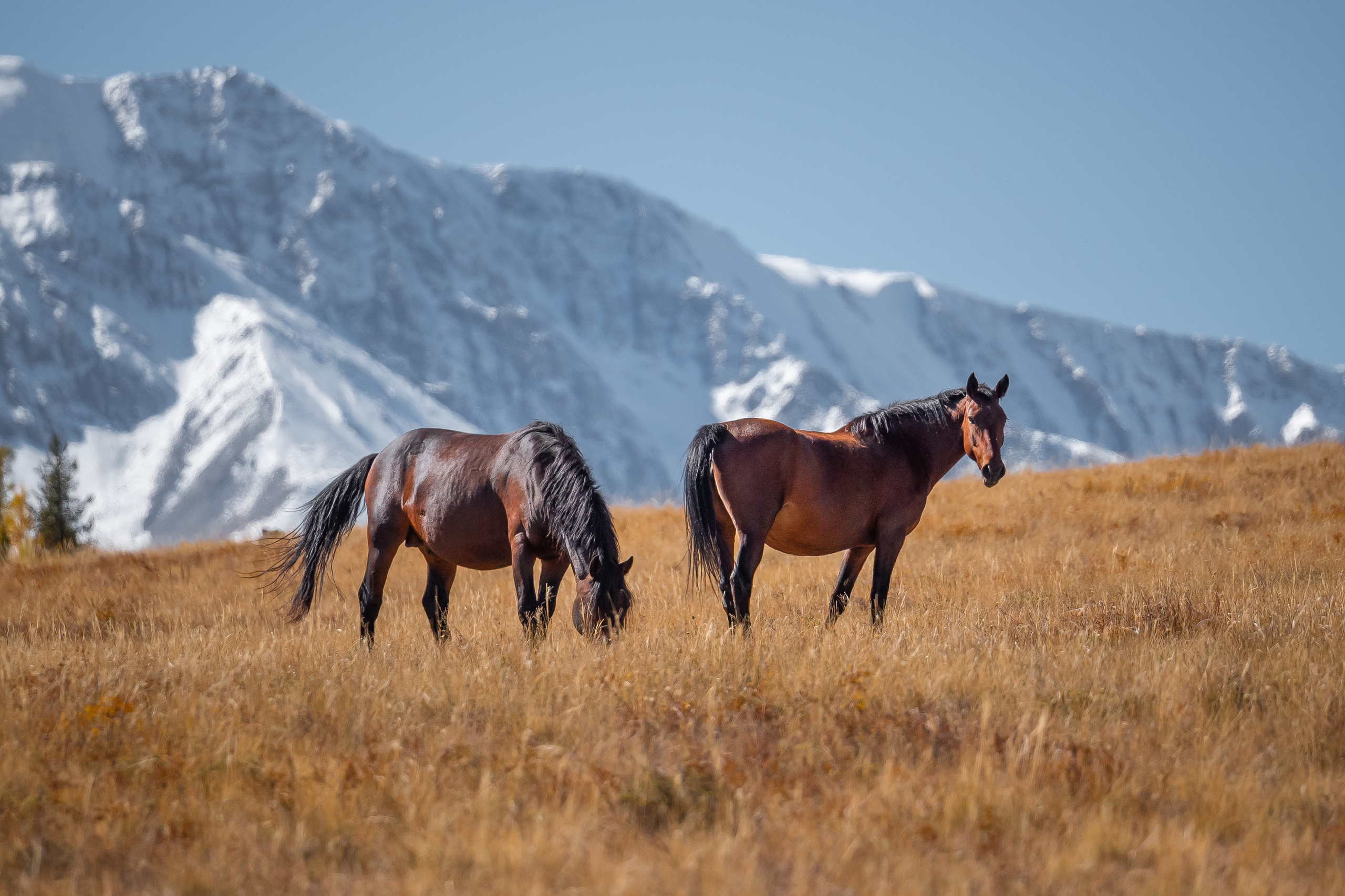 Фотограф Антон Денисенко: Портрет, Документалистика, Пейзаж. Фотограф Антон Денисенко: Портрет, Документалистика, Пейзаж. Москва