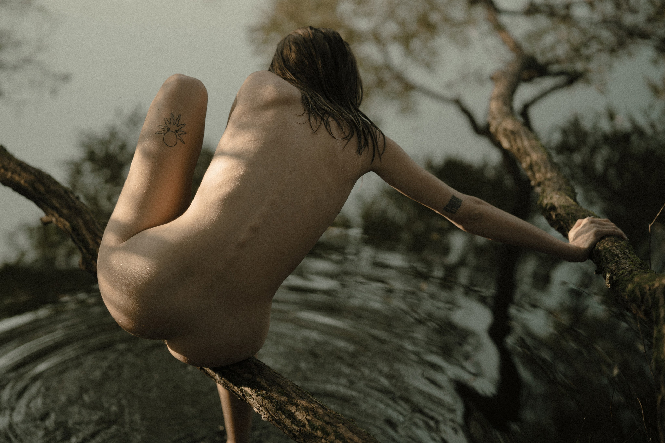 AUTHOR PRINTS. Maxim Tminov