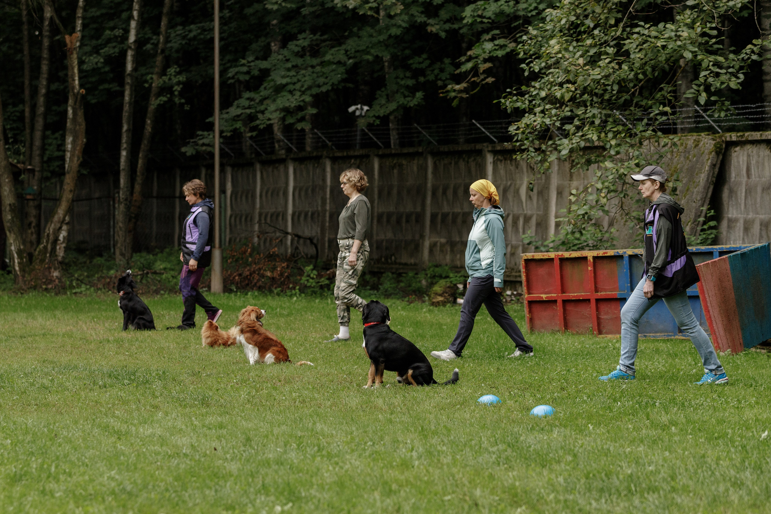 Репортаж. Фотограф-анималист в Калуге Мария Шерскова