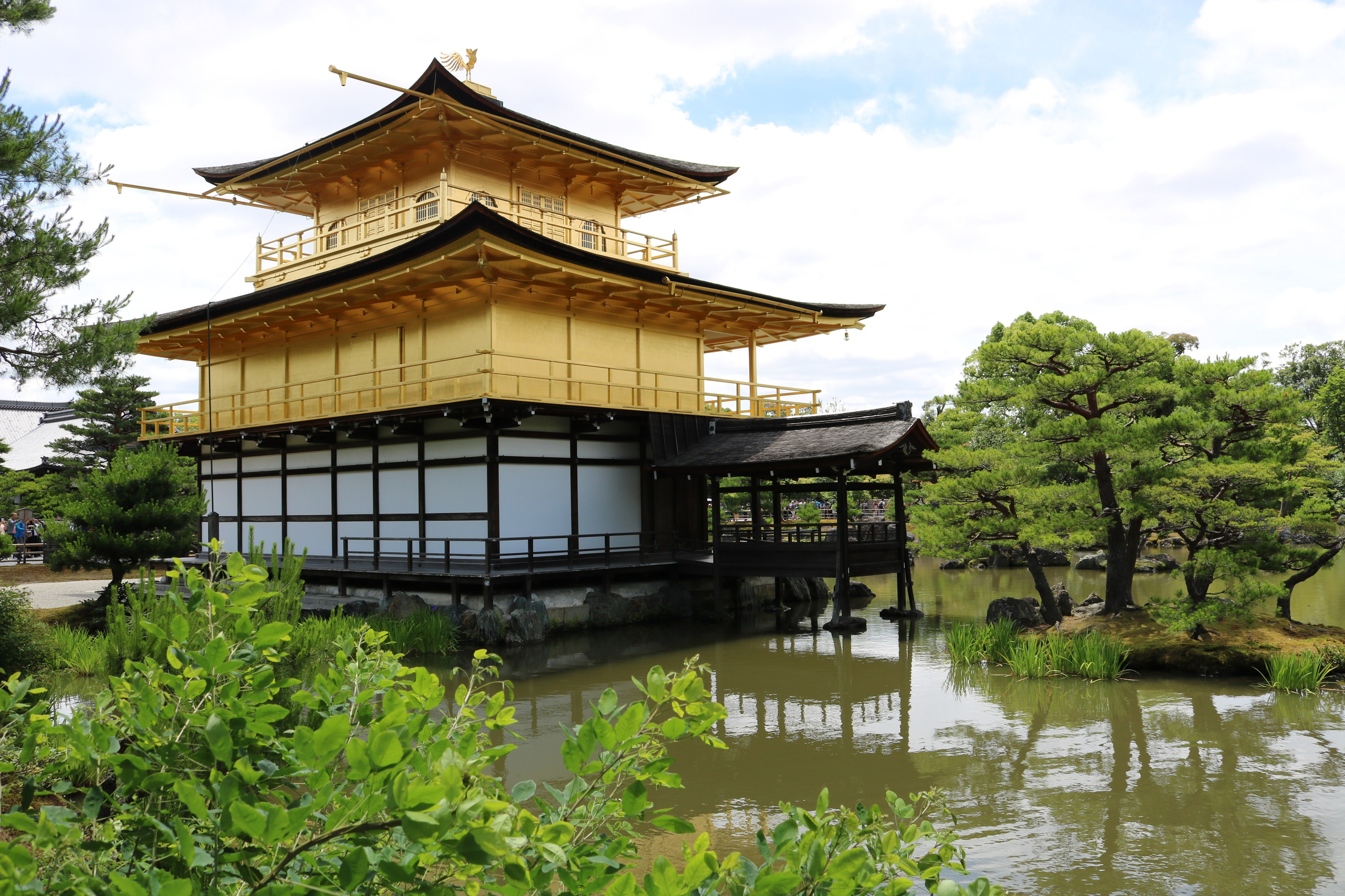 Kyoto. Фотограф Алина Диева Москва | Токио
