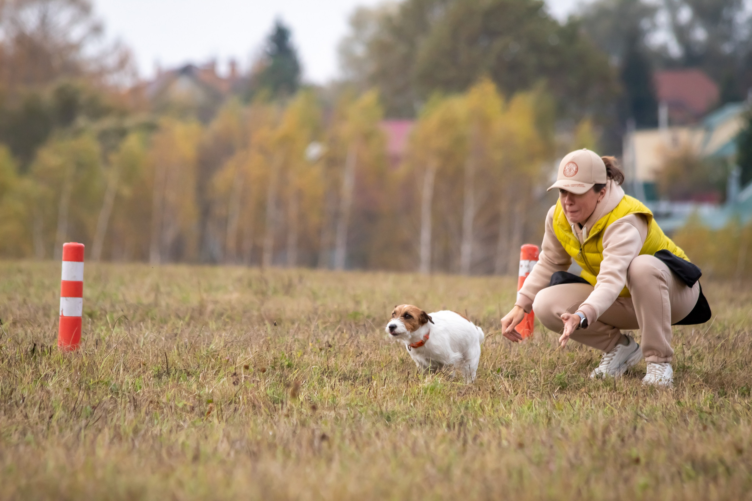 Фотограф-анималист, арт-проекты, репортажная съёмка. Фотограф анималист — Тула, Москва