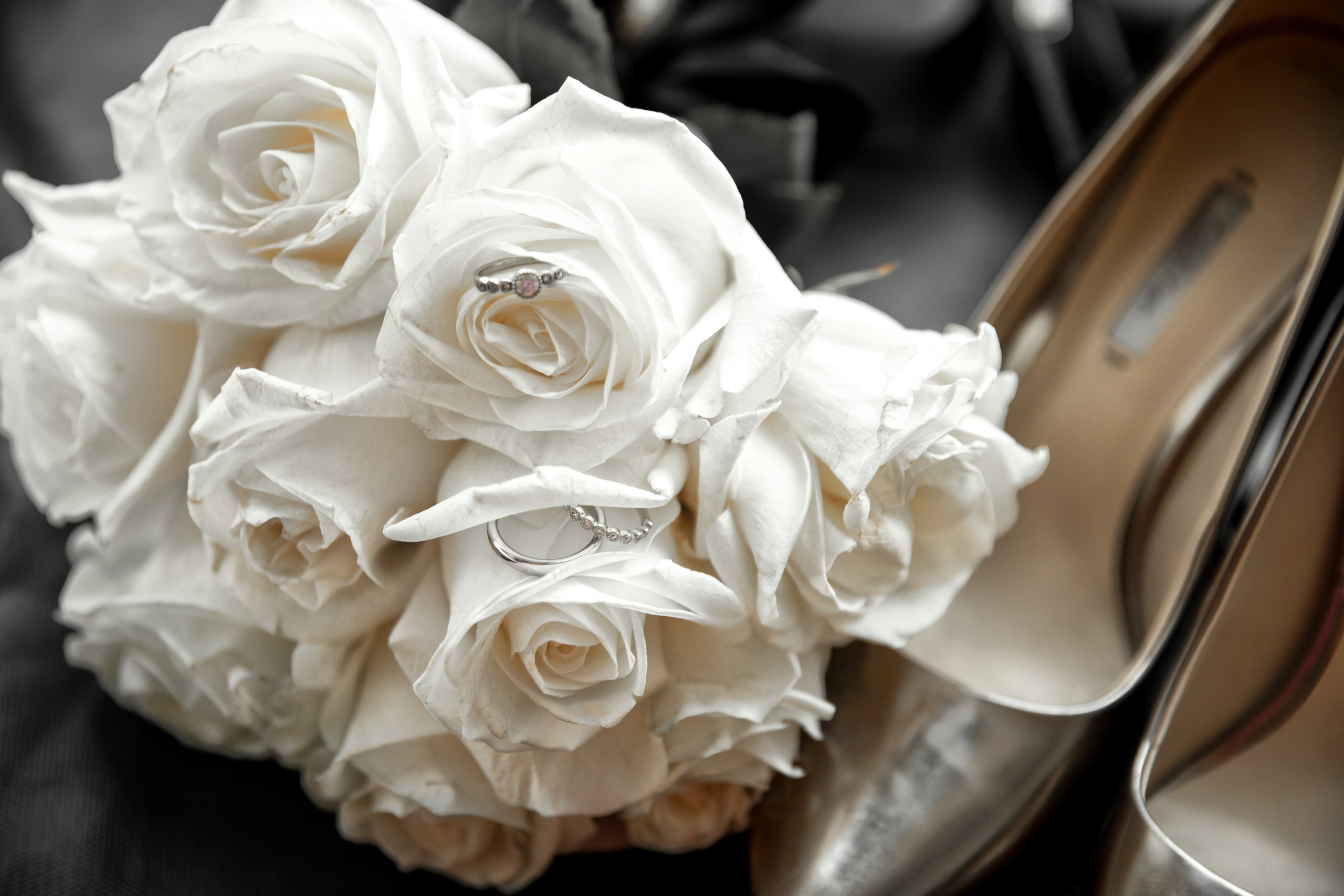 Стоимость фотографа. Alena Nezalenova