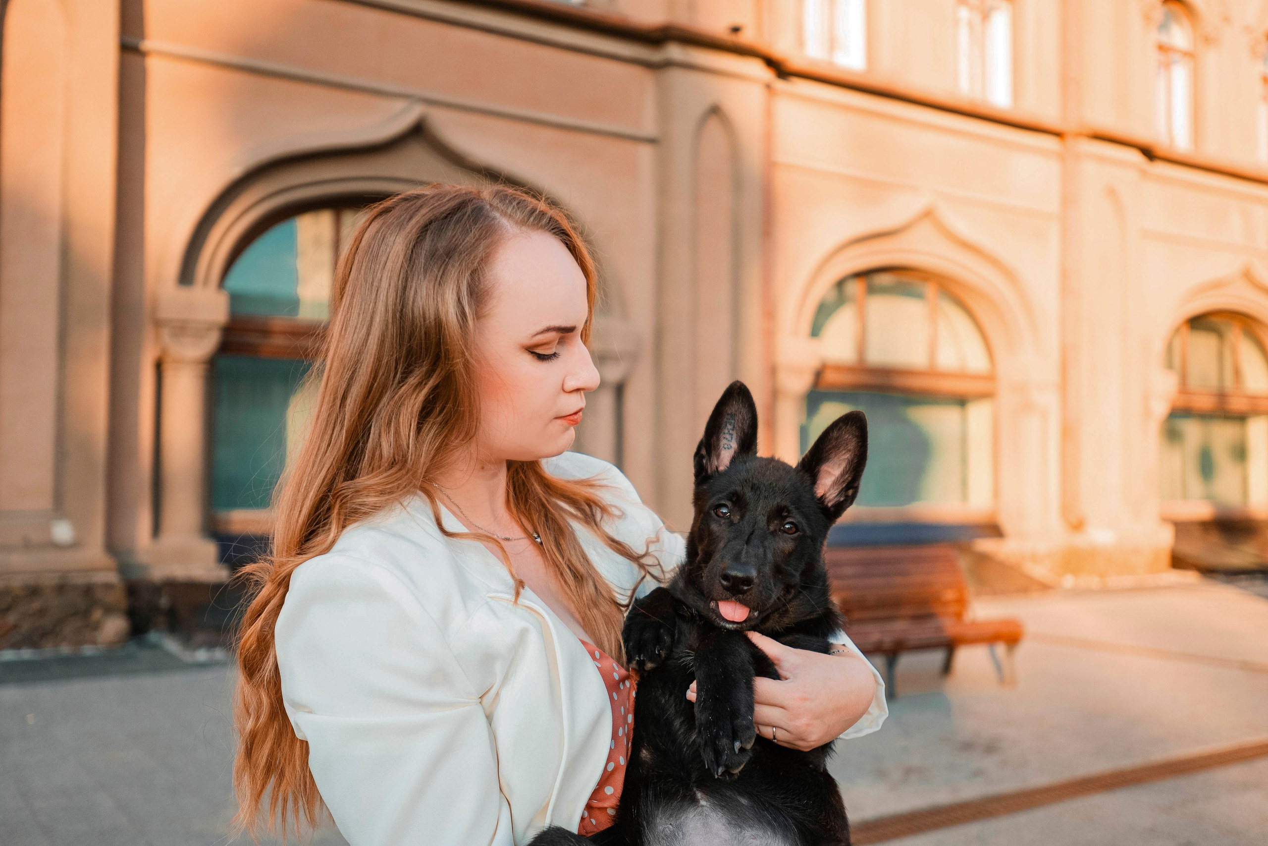Услуги. Фотограф — анималист Плужникова Юлия Саратов/Энгельс/Москва