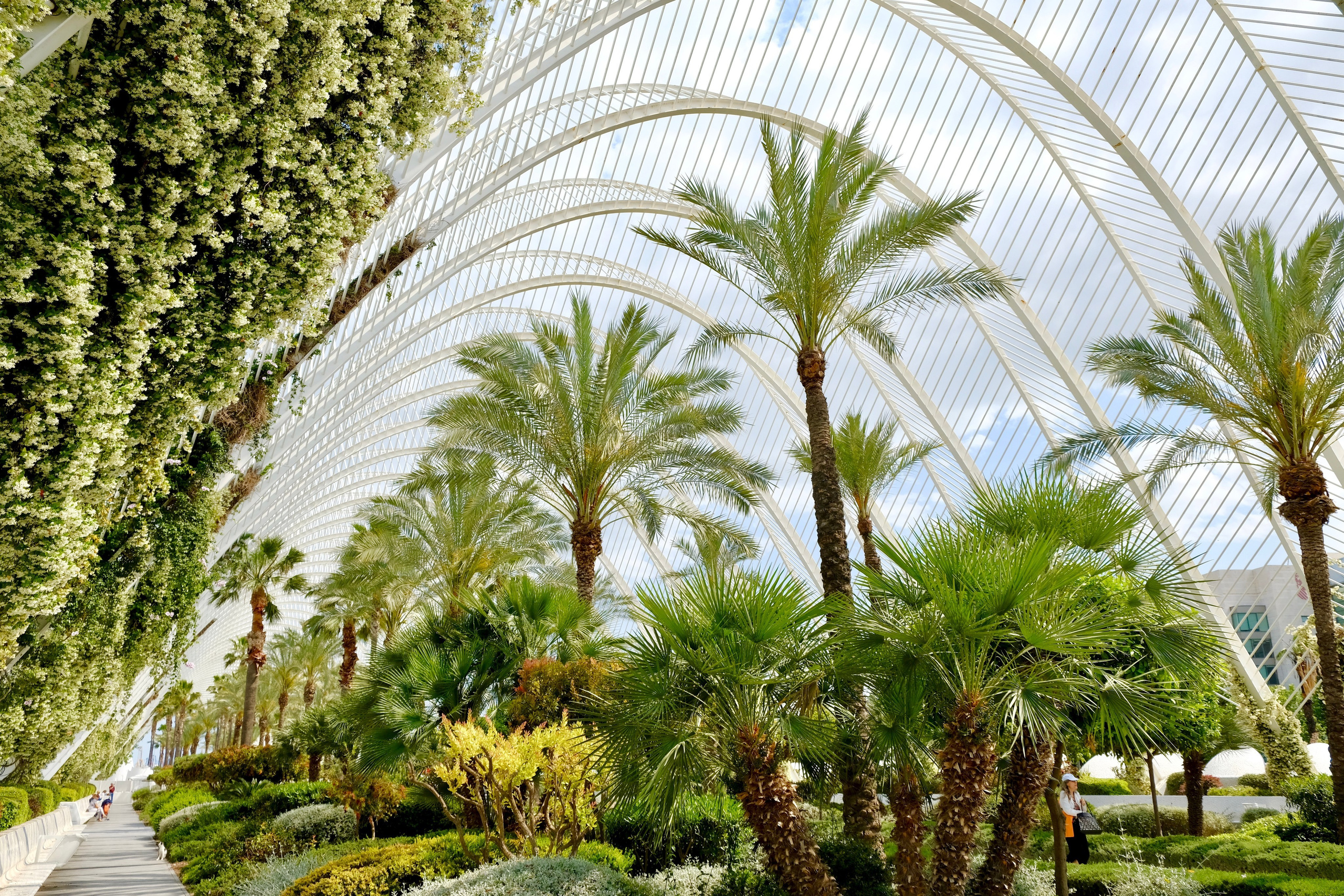 Город искусств и наук в Валенсии (Испания) Сантьяго Калатравы. Гид и фотограф в Валенсии Новиков Михаил