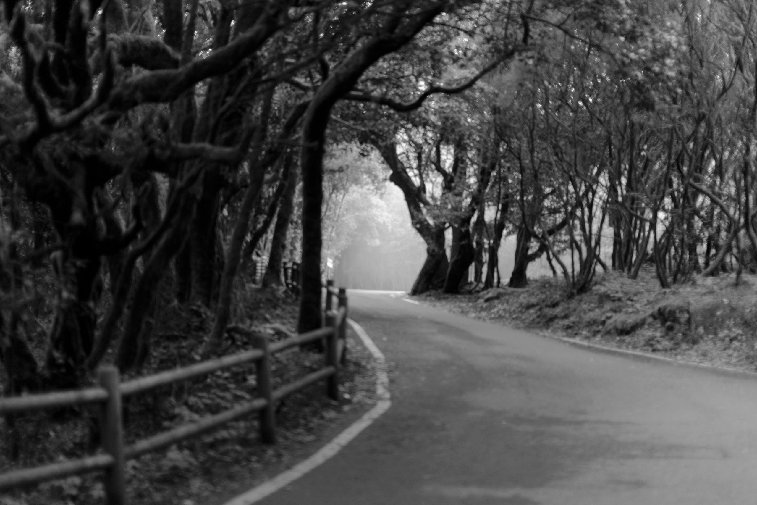 Обучение. Автор тихих репортажей Настя Климачева