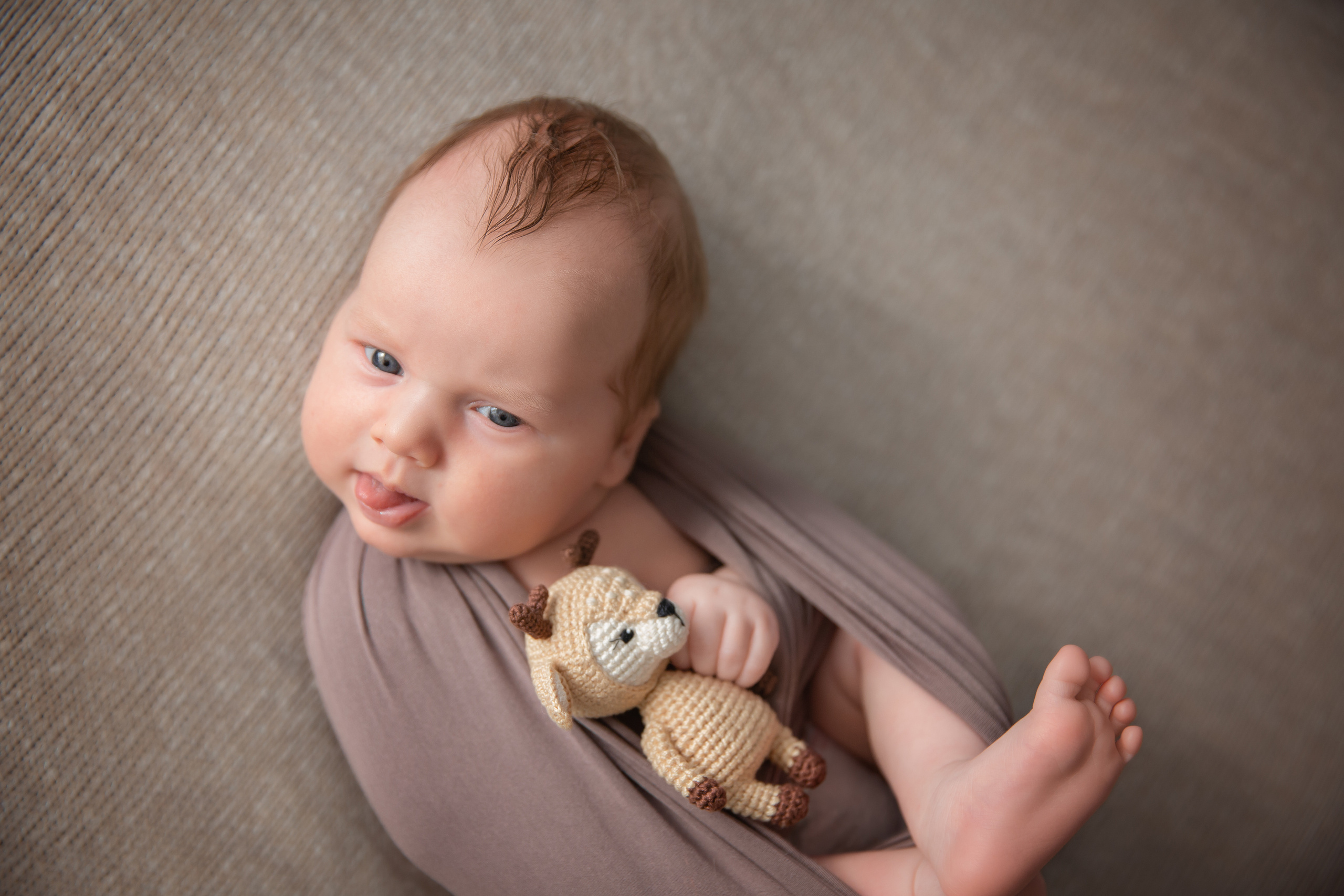 Услуги. Семейный фотограф и фотограф новорожденных Москва Людмила Зайцева