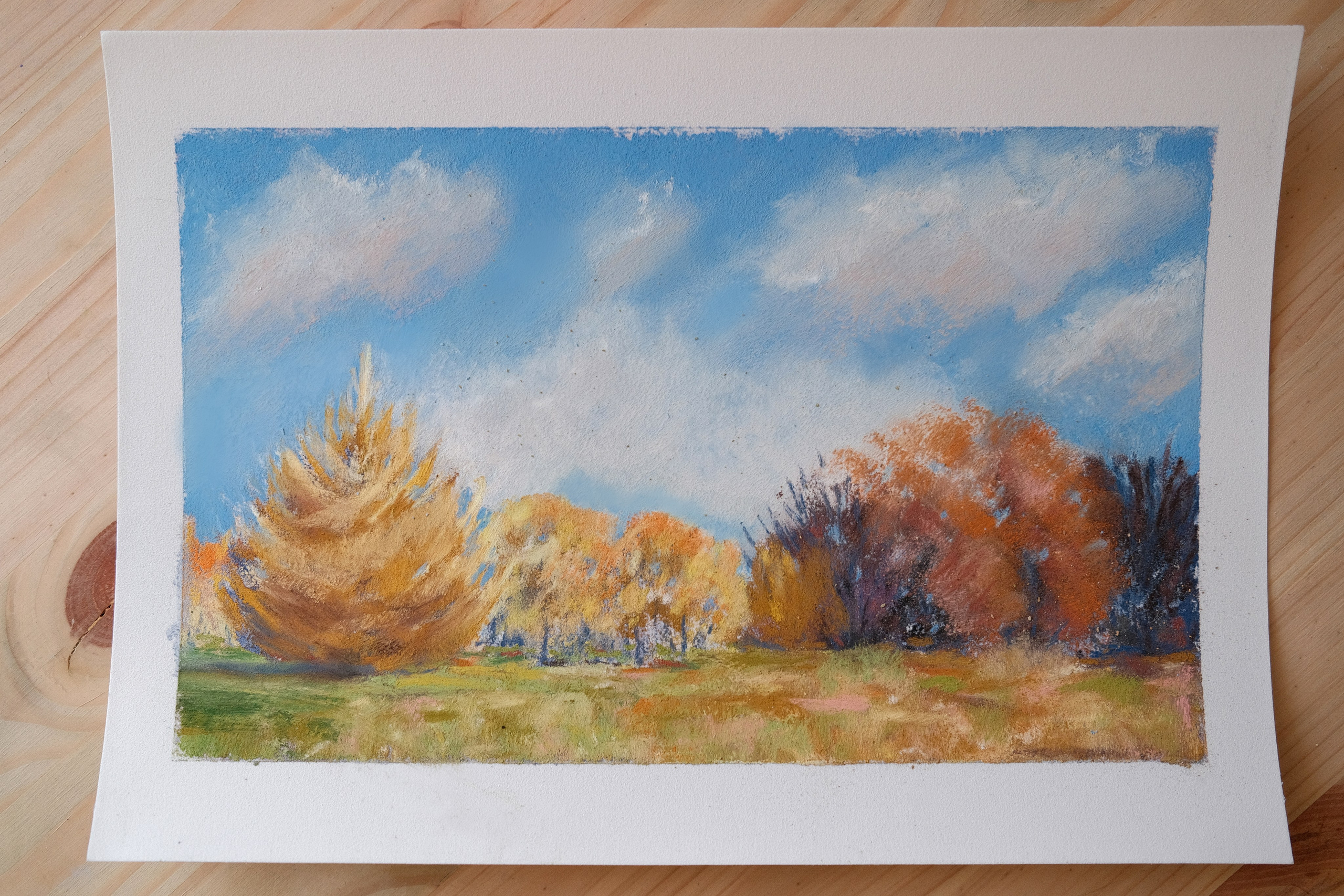 Про пастель. Аня Степанова