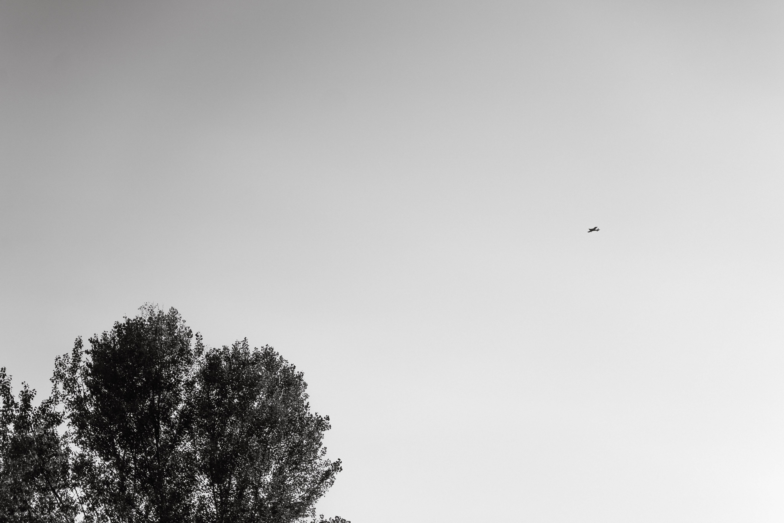 Фото + видео. Свадебный и семейный фотограф