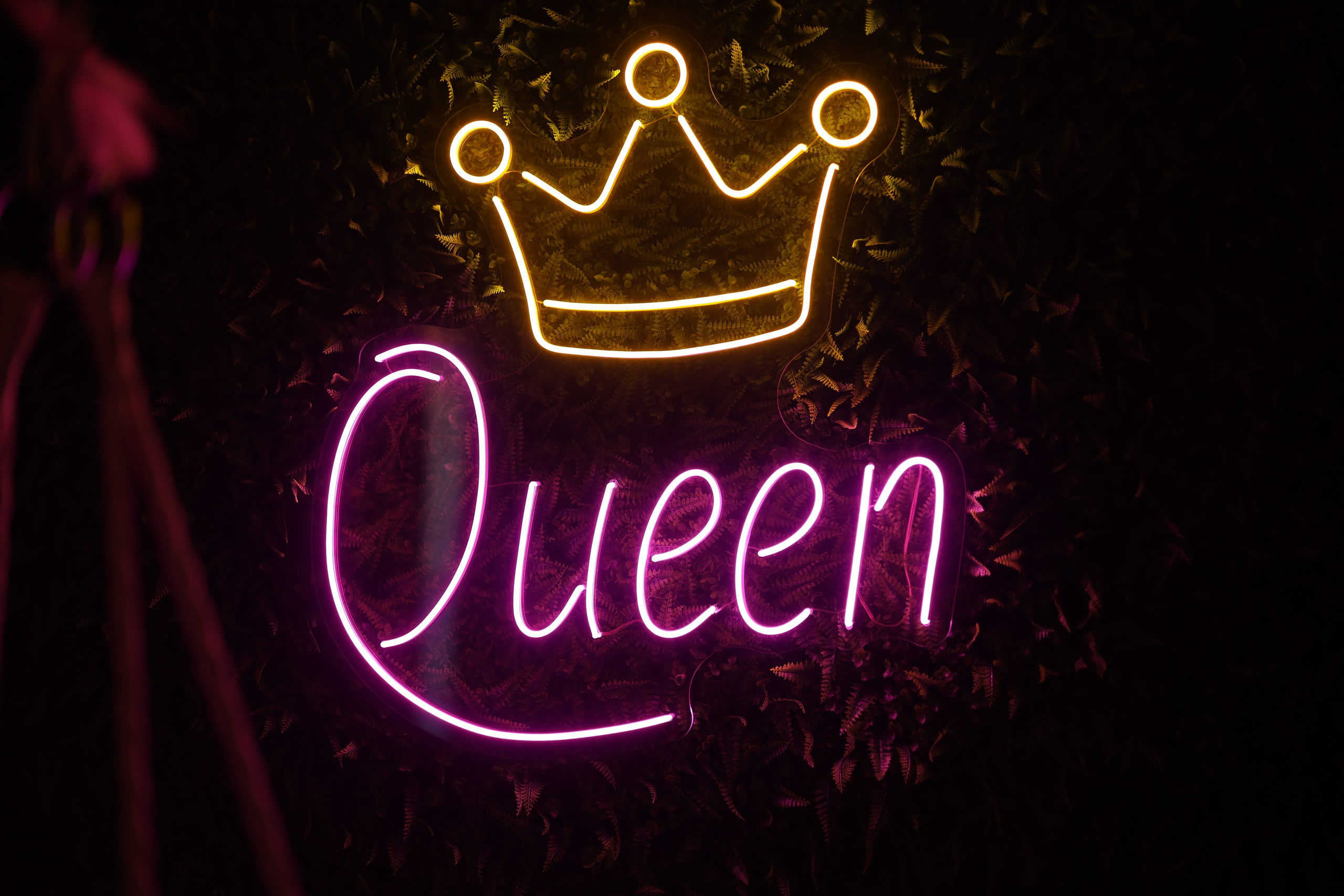 Услуги. Фотограф Москва