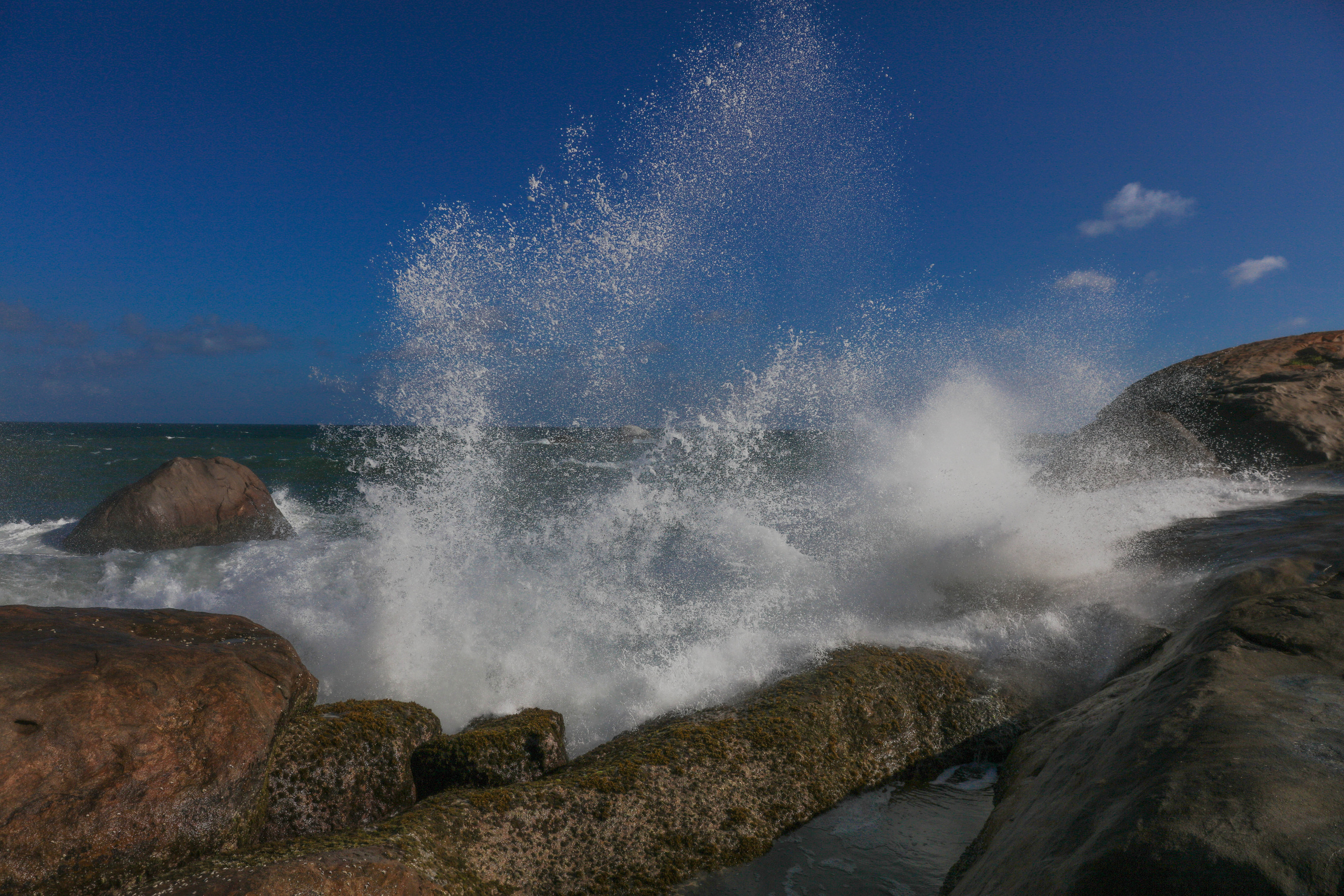 2019 — Шри Ланка. OneSnap