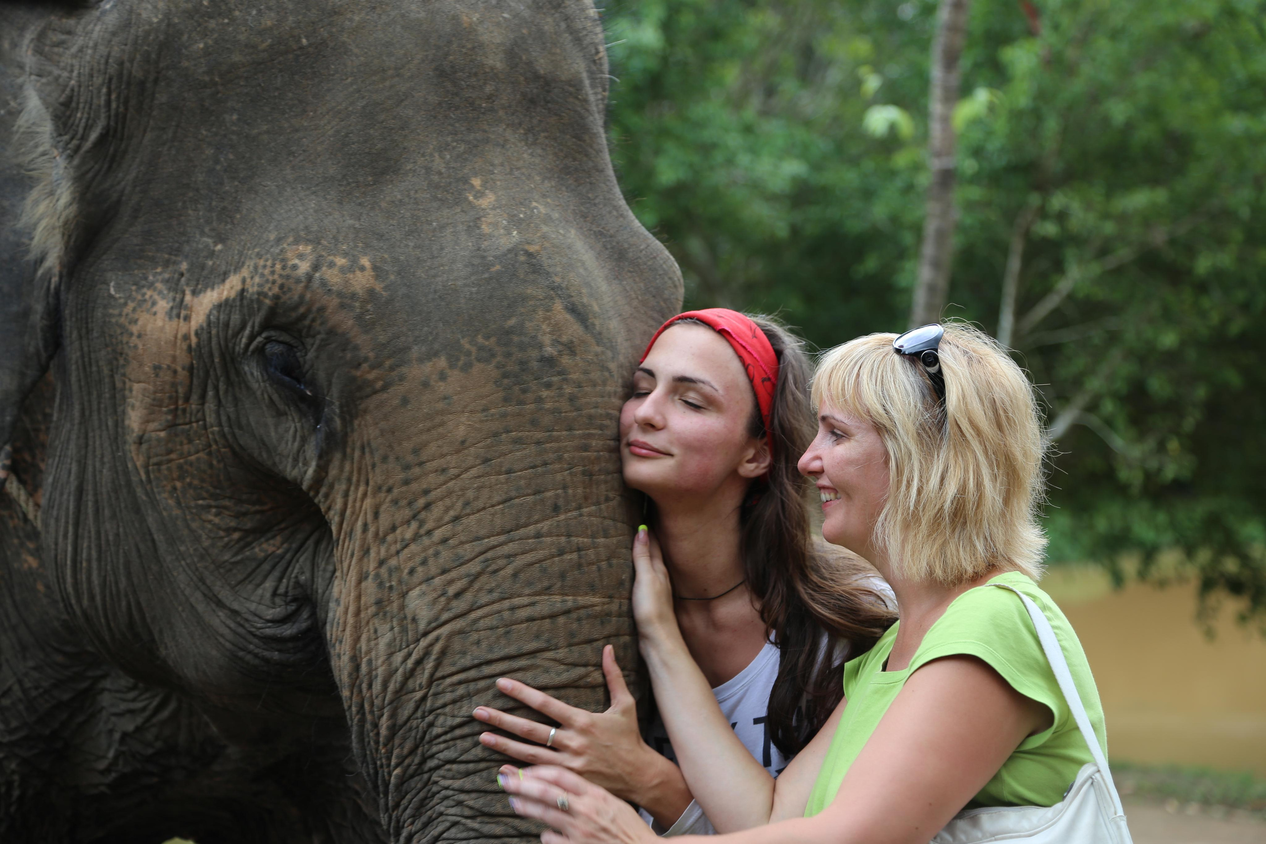 2013 — Камбоджа, Вьетнам. OneSnap