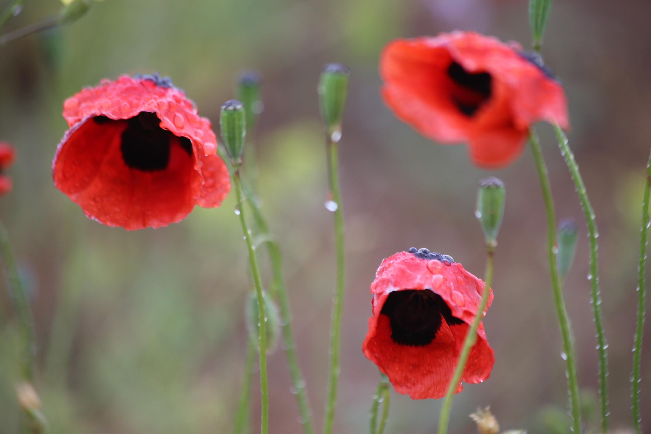 2015 — Нижняя Волга: Каспий, с. Вышка. OneSnap