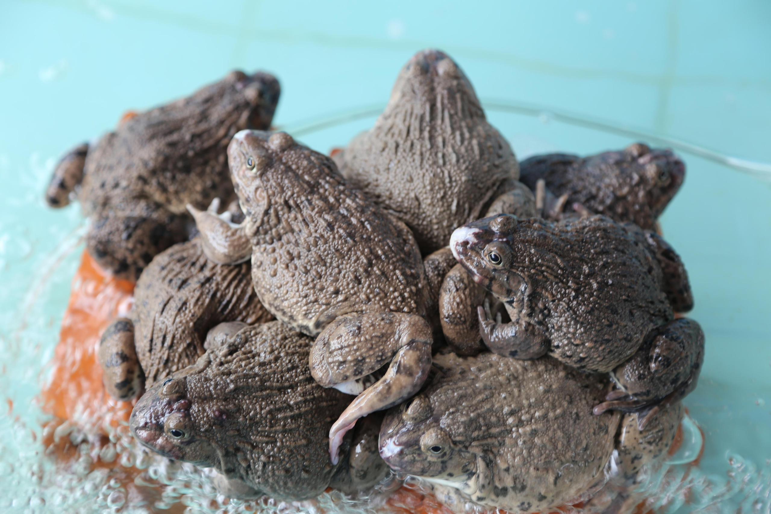 2013 — Камбоджа, Вьетнам. OneSnap