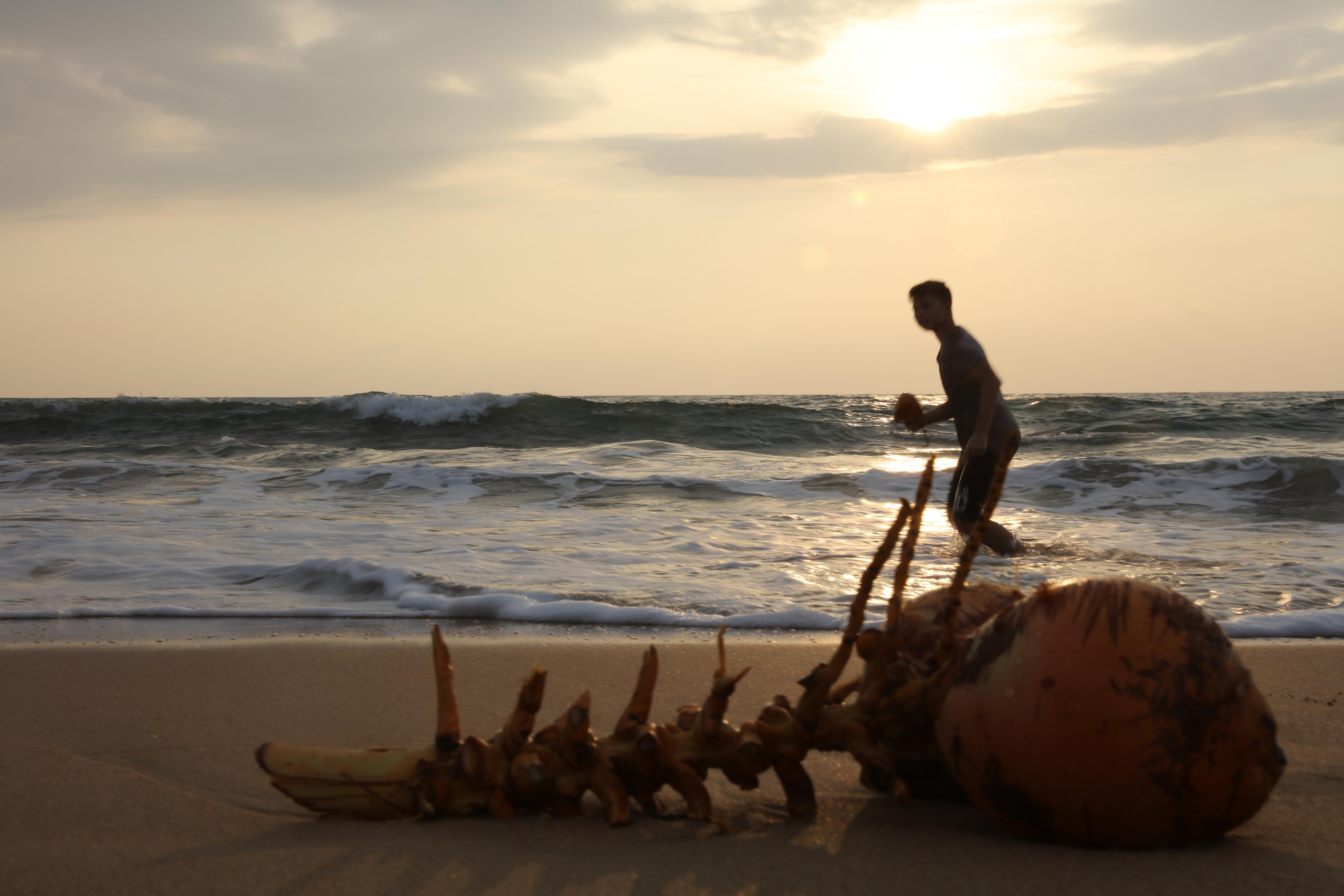 2019 — Шри Ланка. OneSnap