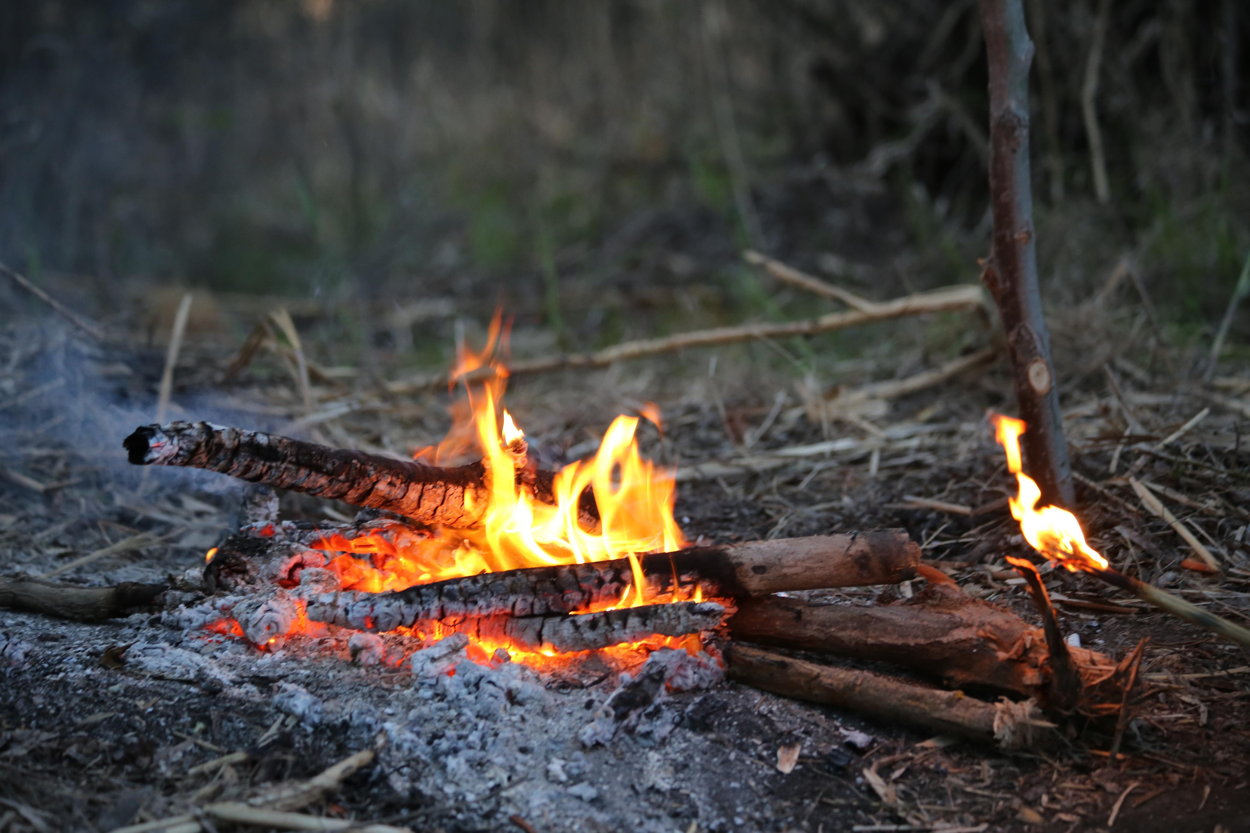 2015 — Нижняя Волга: Каспий, с. Вышка. OneSnap