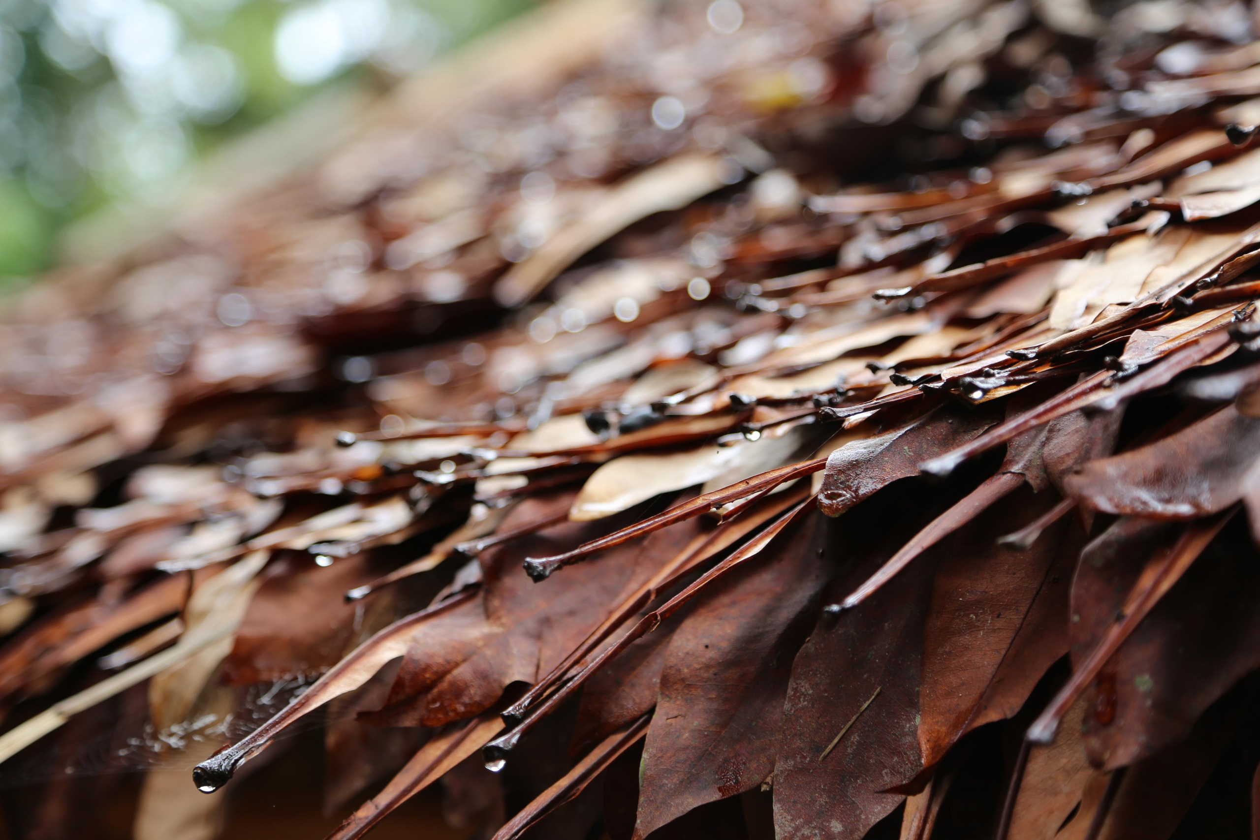 2013 — Камбоджа, Вьетнам. OneSnap