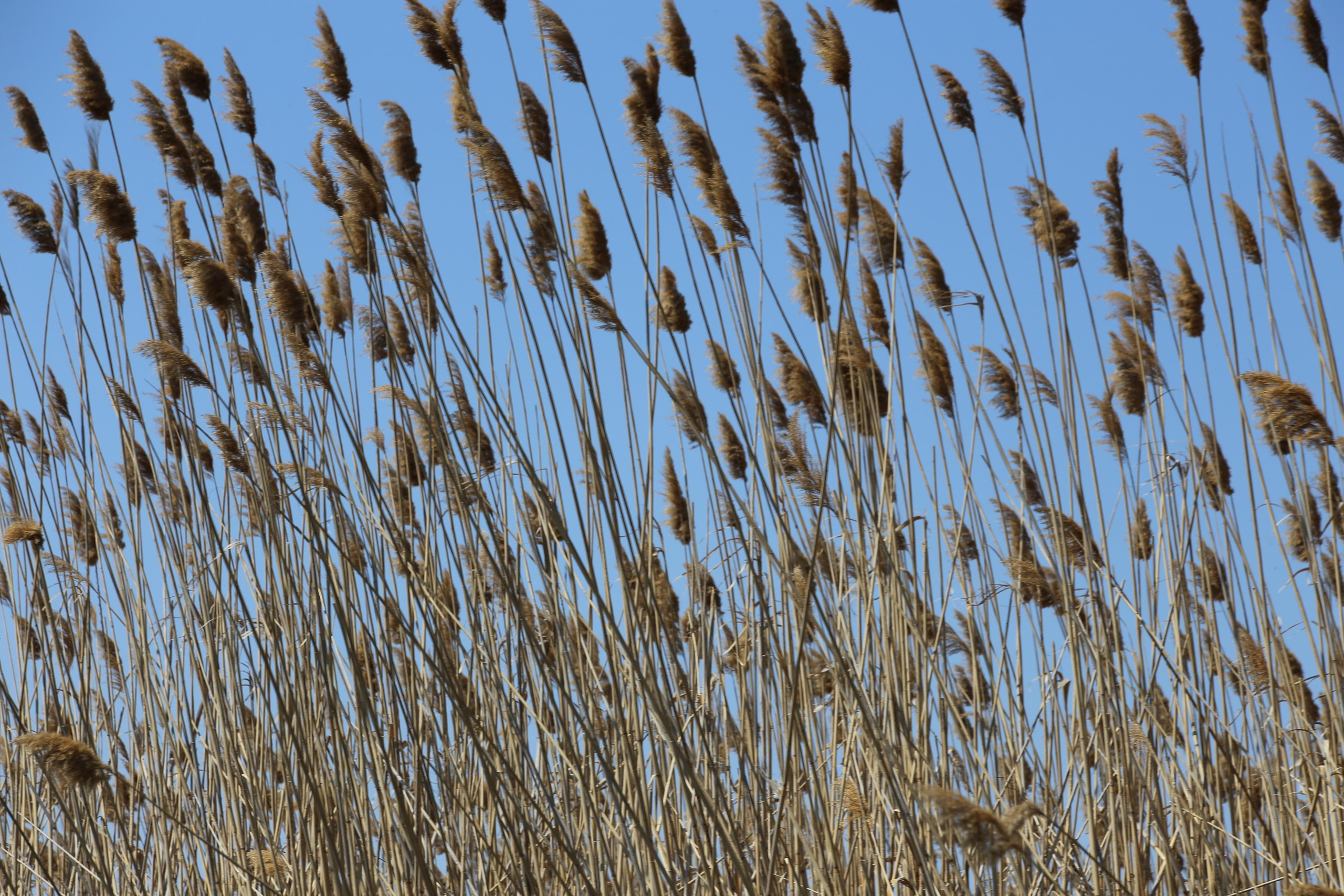 2015 — Нижняя Волга: Каспий, с. Вышка. OneSnap