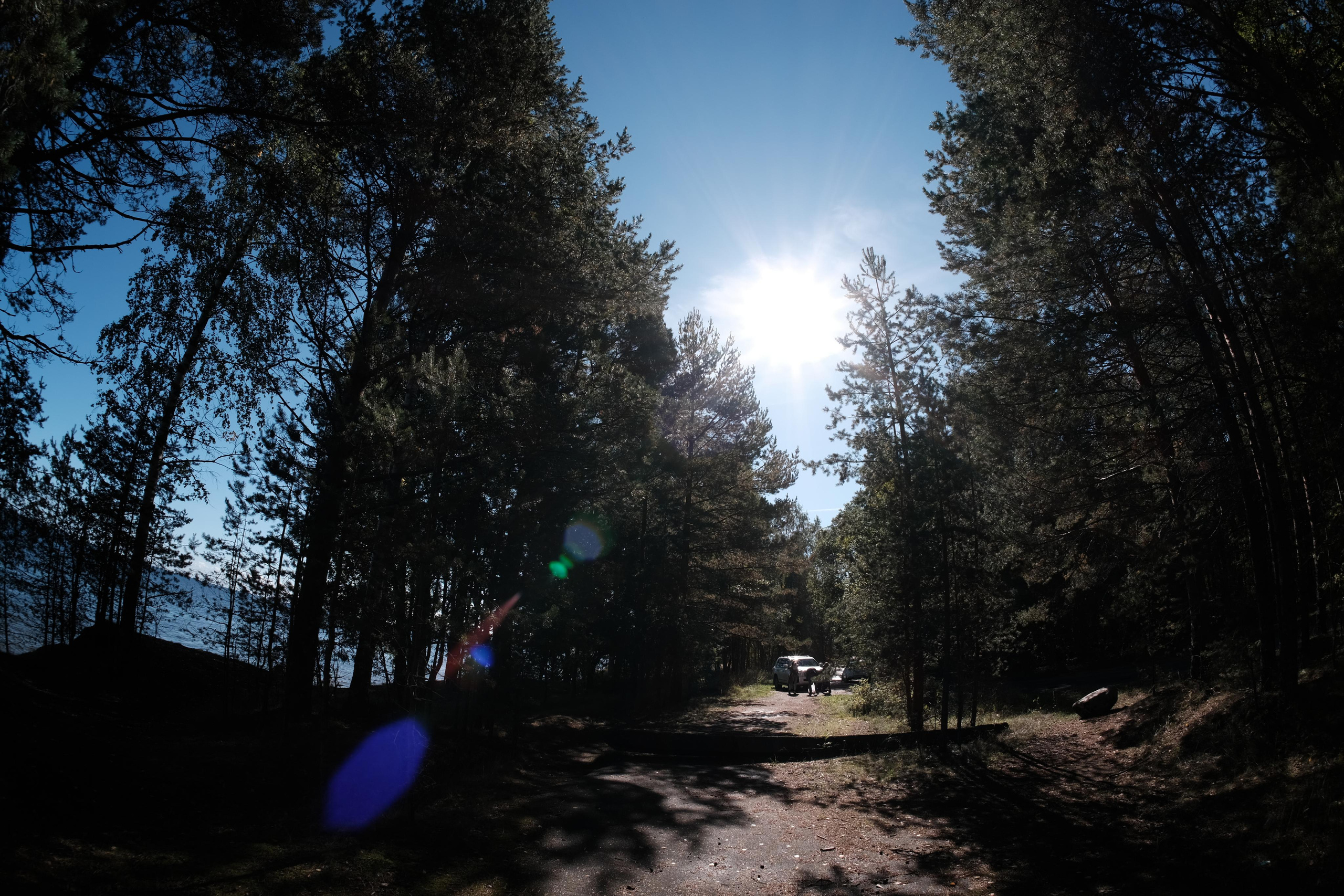 Сравнение объективов 7artisans 7,5/f2.8 и TTArtisan 7,5/f2.0. Фотограф Константин Шамин