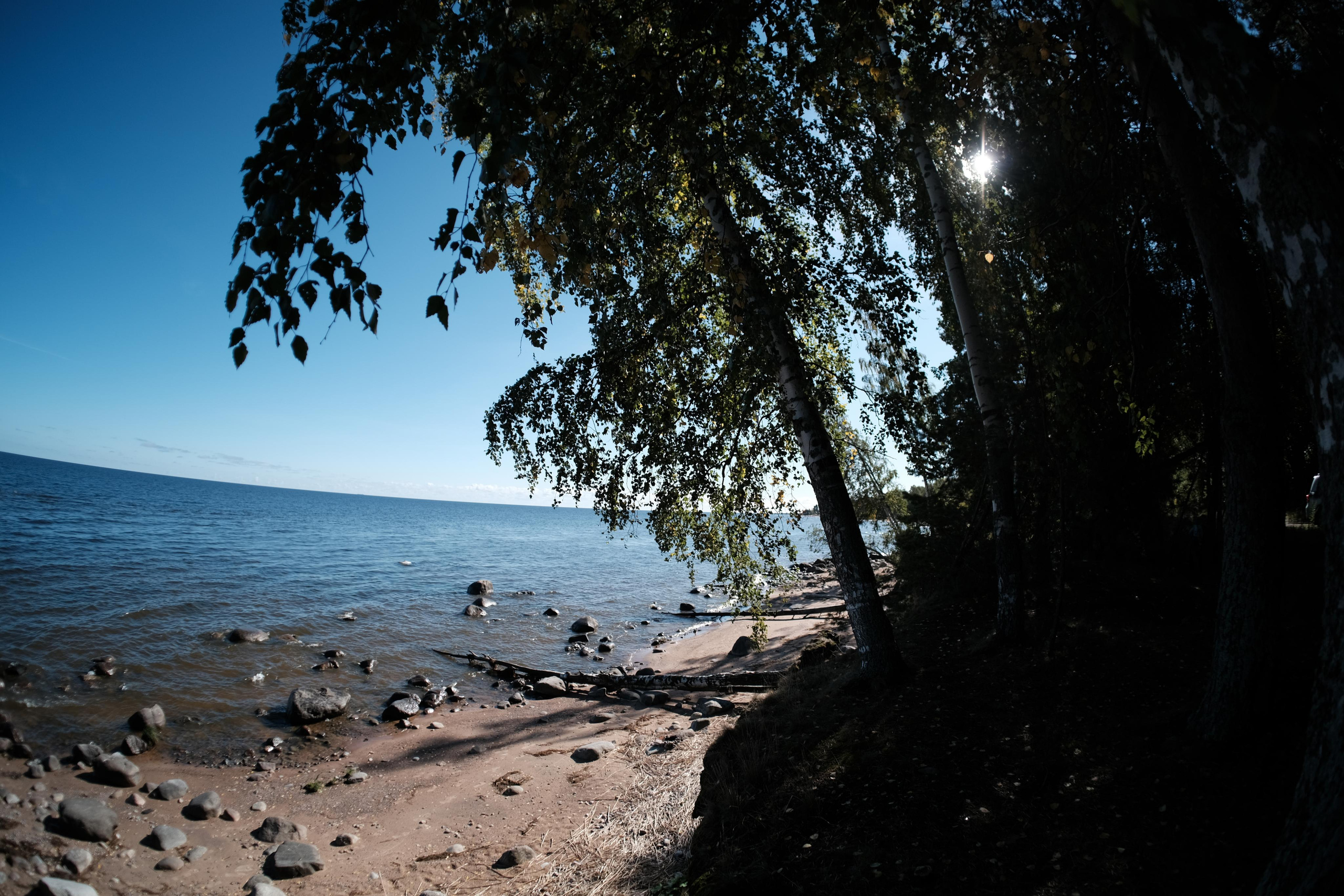 Сравнение объективов 7artisans 7,5/f2.8 и TTArtisan 7,5/f2.0. Фотограф Константин Шамин