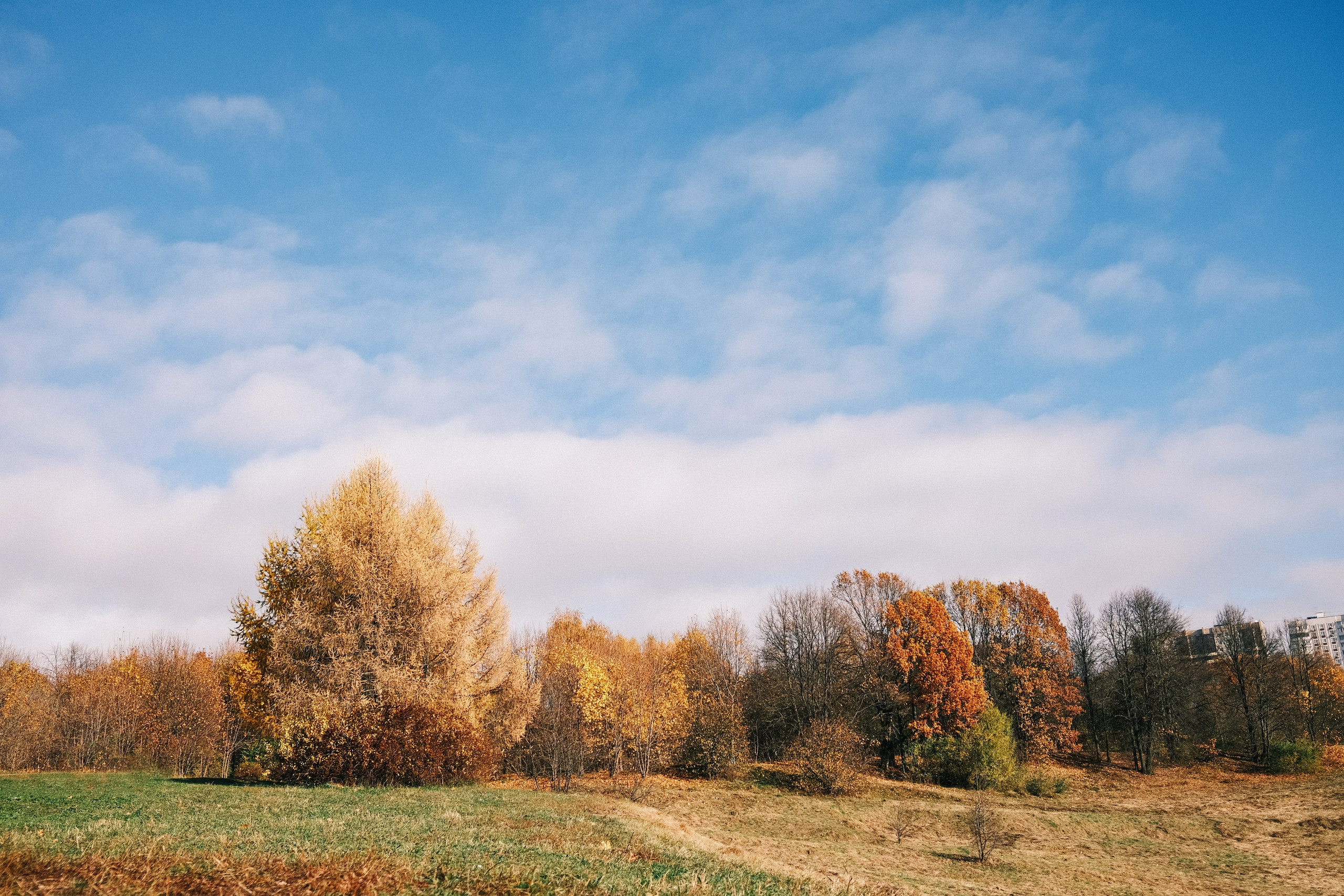 «Если мы понравимся Богу, то станем самореализованными». Аня Степанова