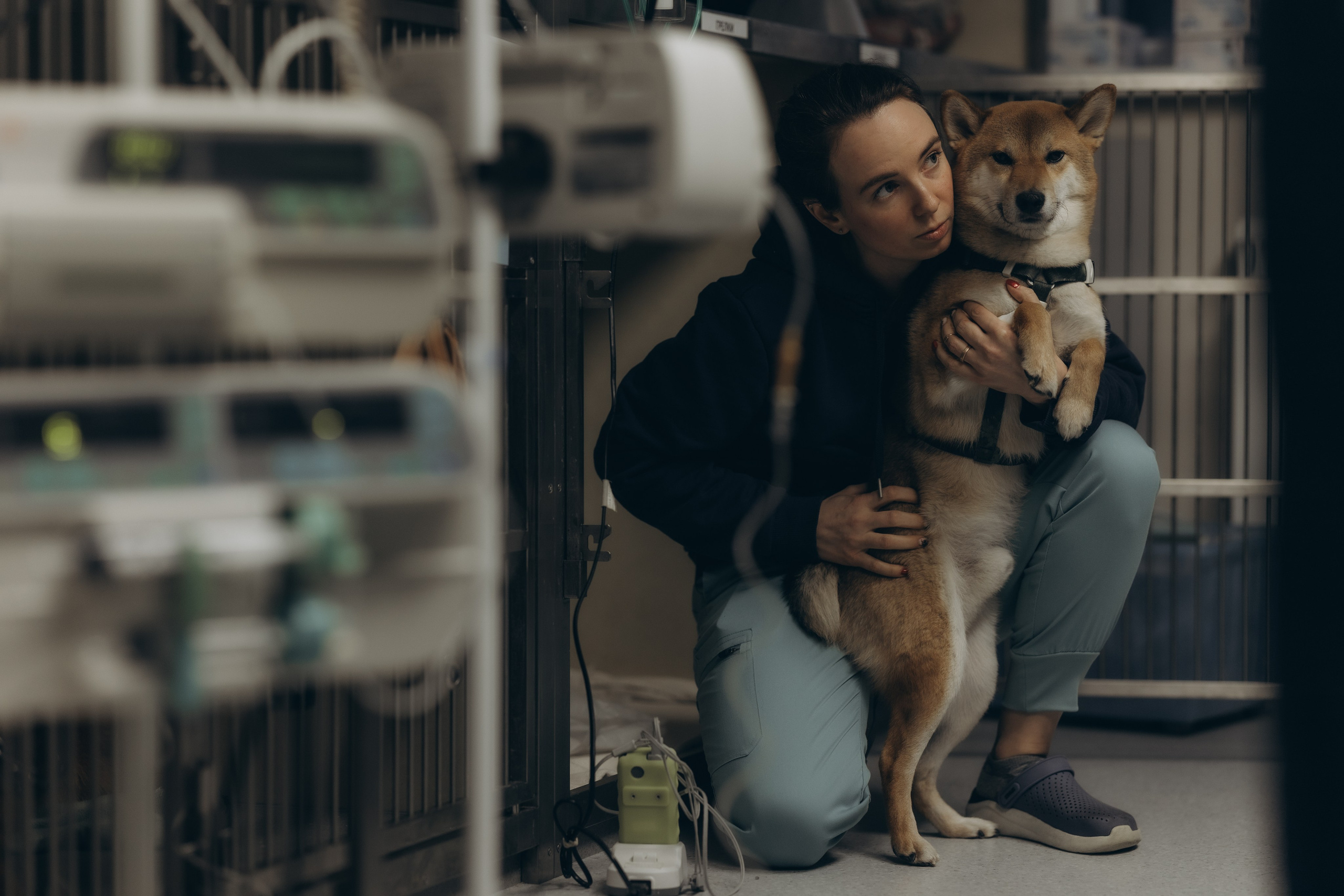 VetLife. Татьяна Афонина | Фотограф