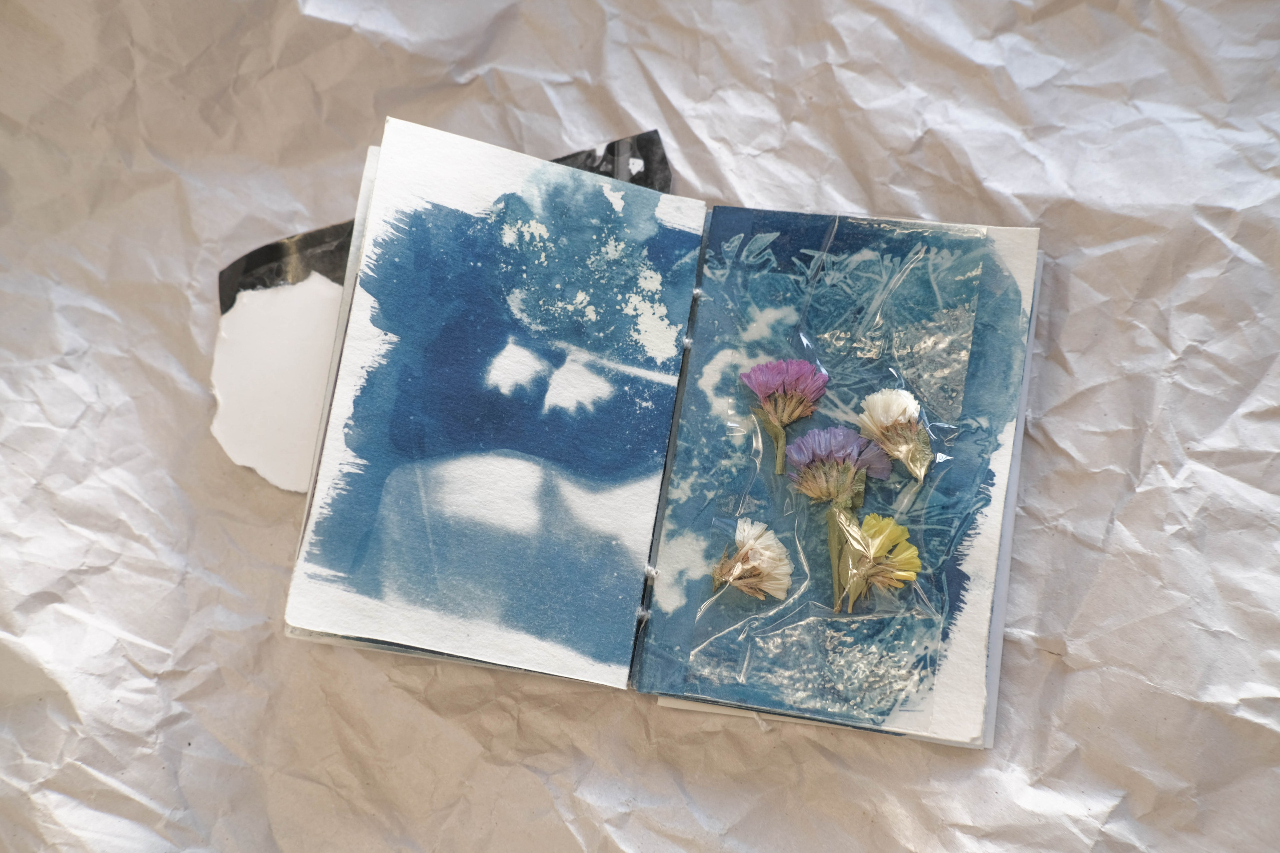 Наблюдатель. Елизавета БаковА