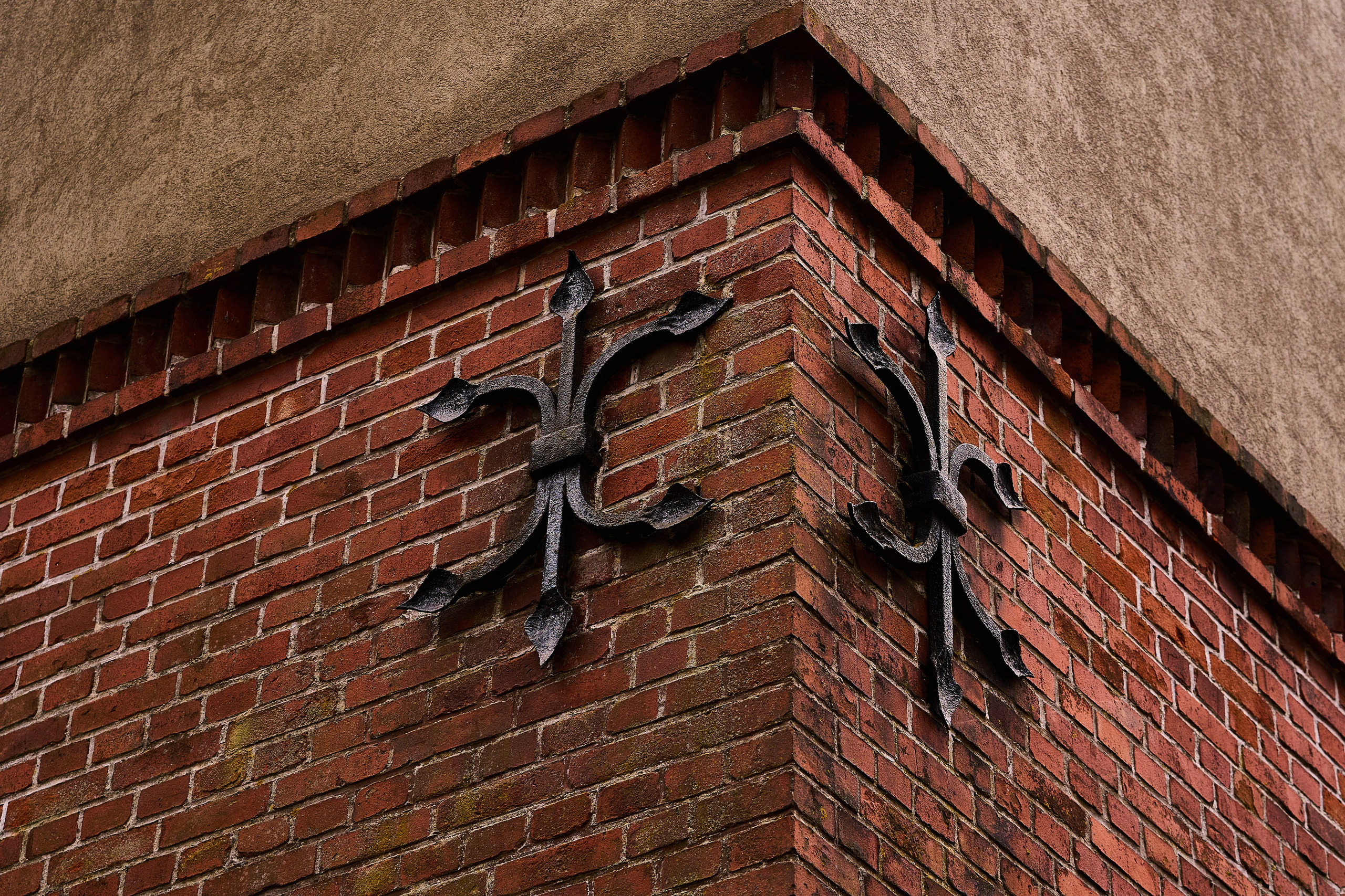 Светлогорск. Фотограф в Москве Анастасия Баева