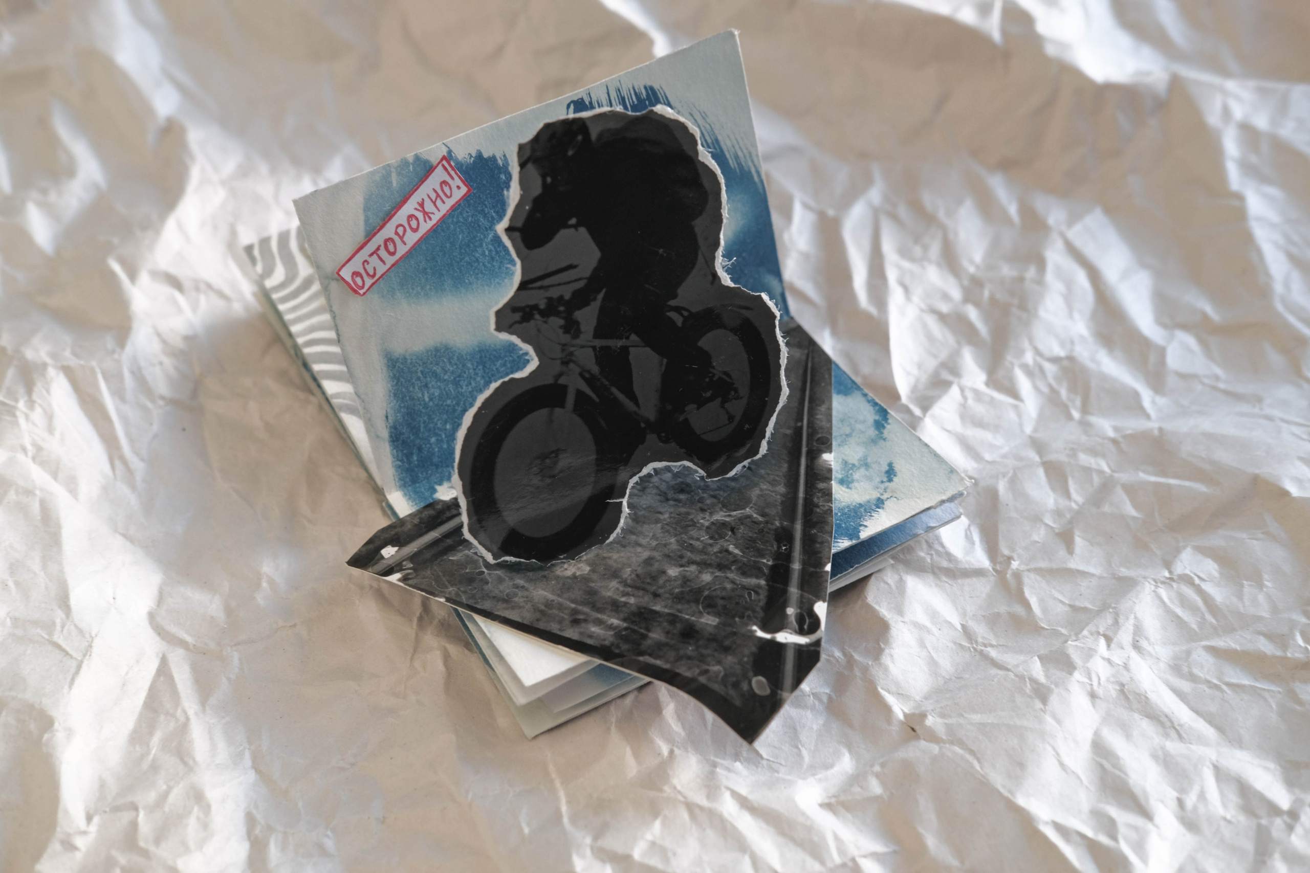 Наблюдатель. Елизавета БаковА