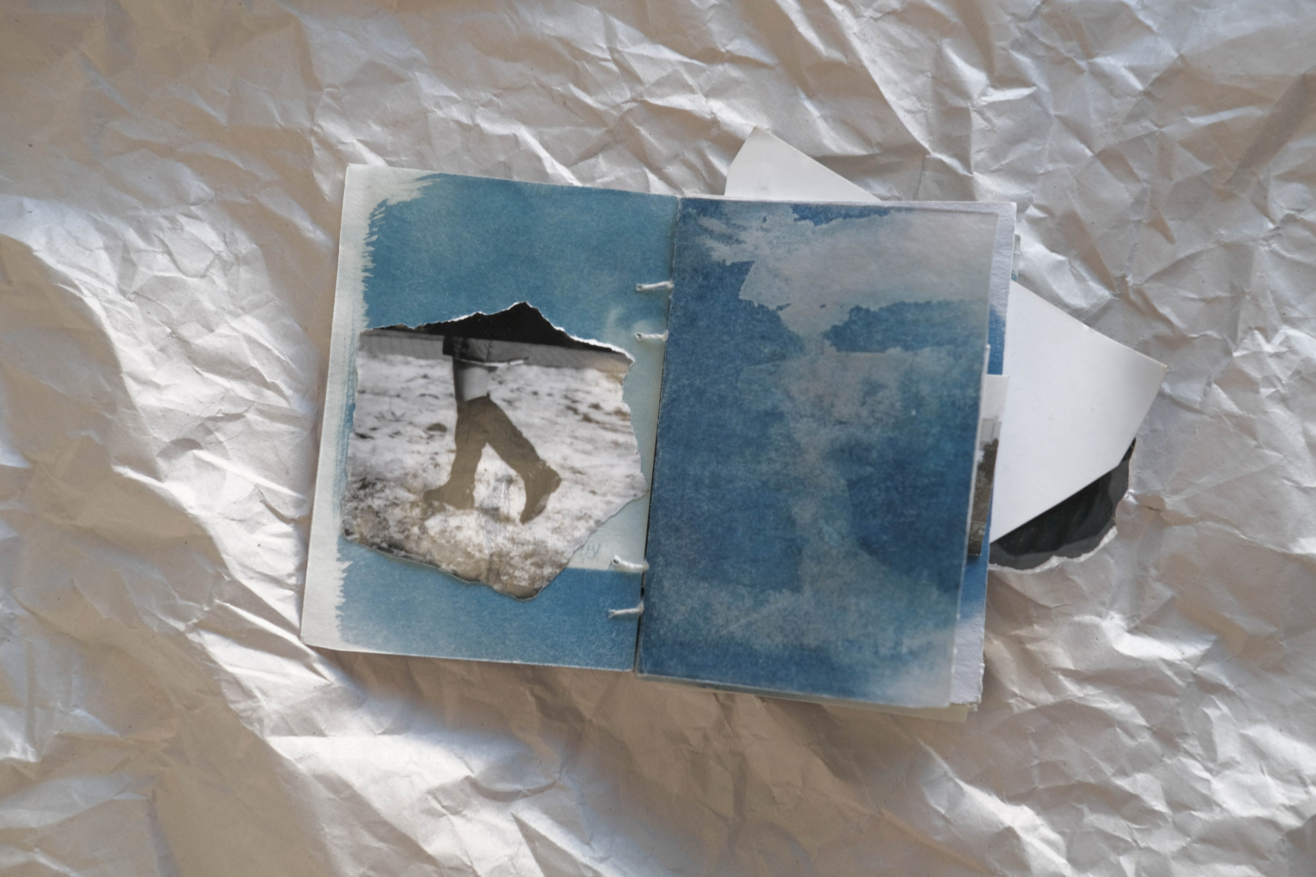 Наблюдатель. Елизавета БаковА