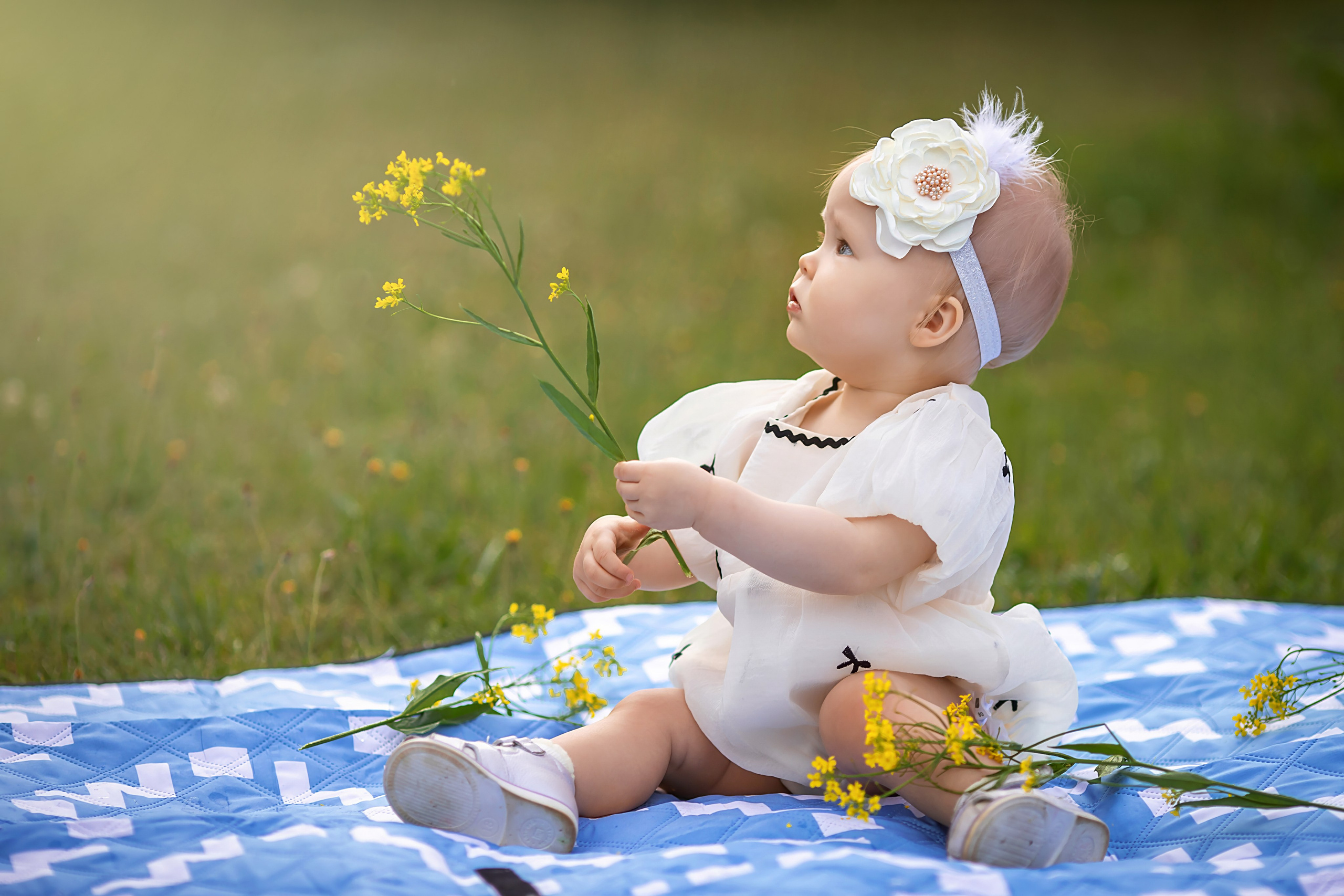 Цены. Фотограф в Москве
