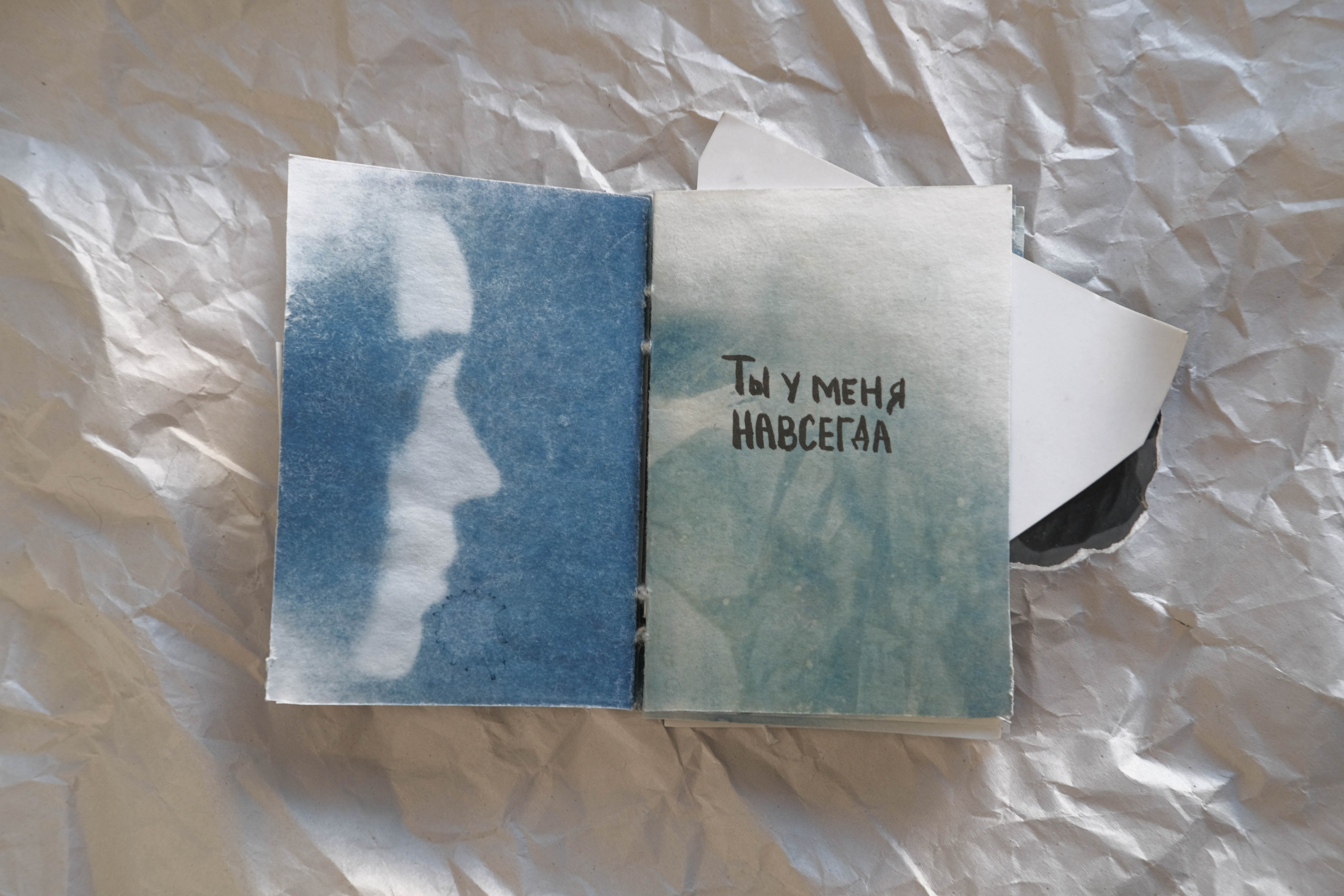 Наблюдатель. Елизавета БаковА