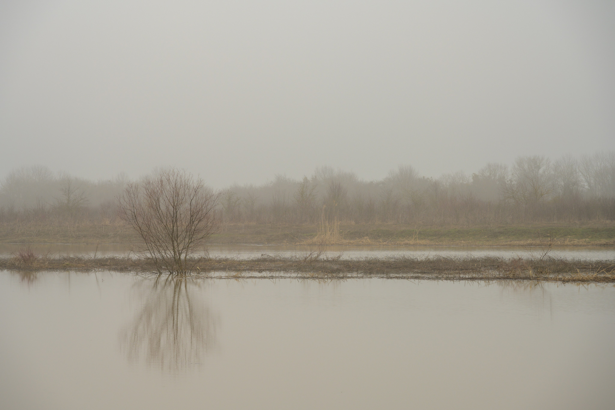 Туманное утро