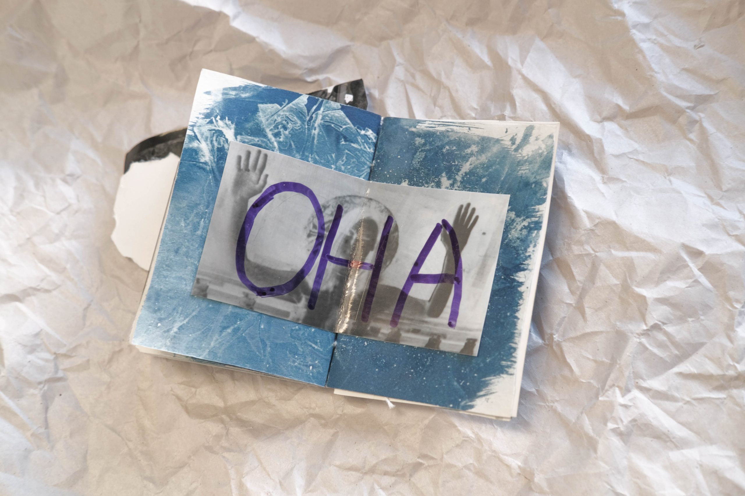 Наблюдатель. Елизавета БаковА