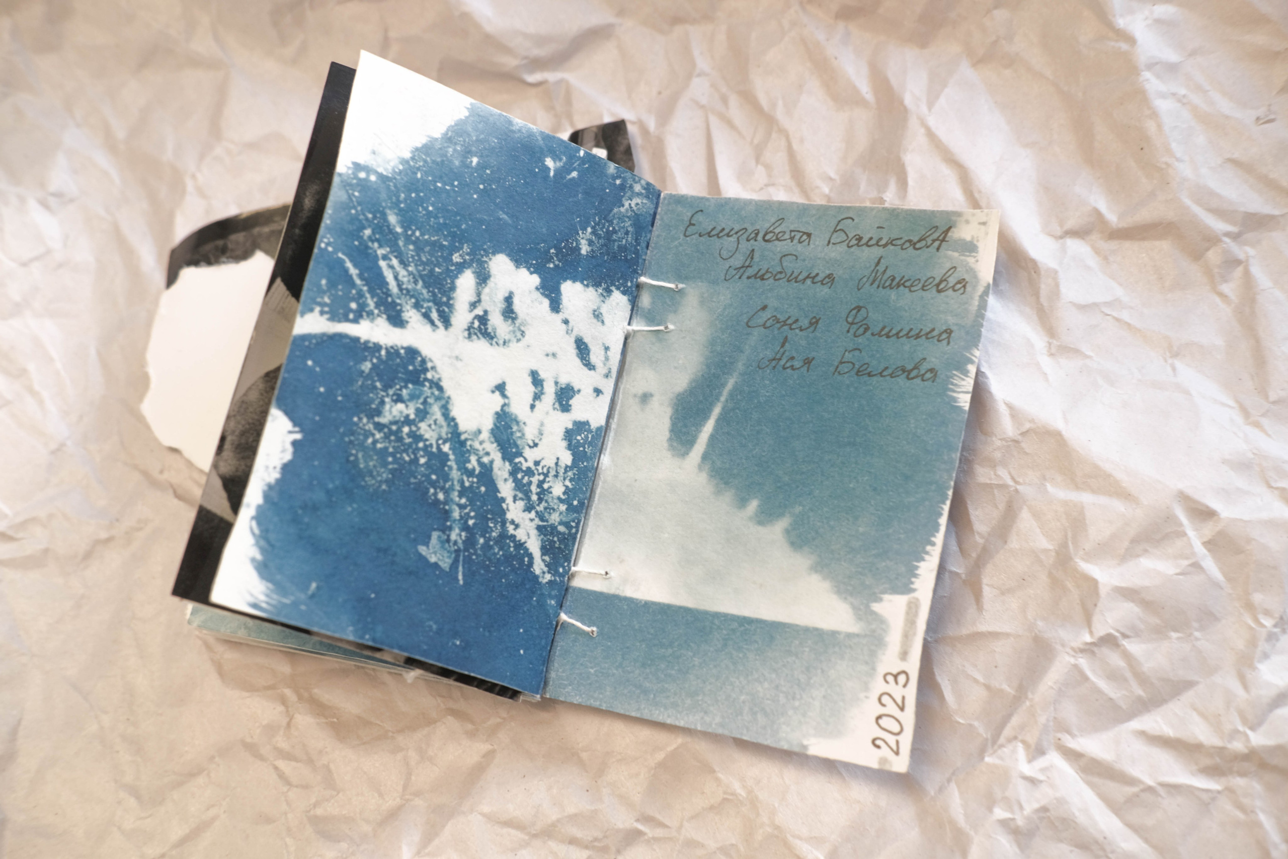 Наблюдатель. Елизавета БаковА