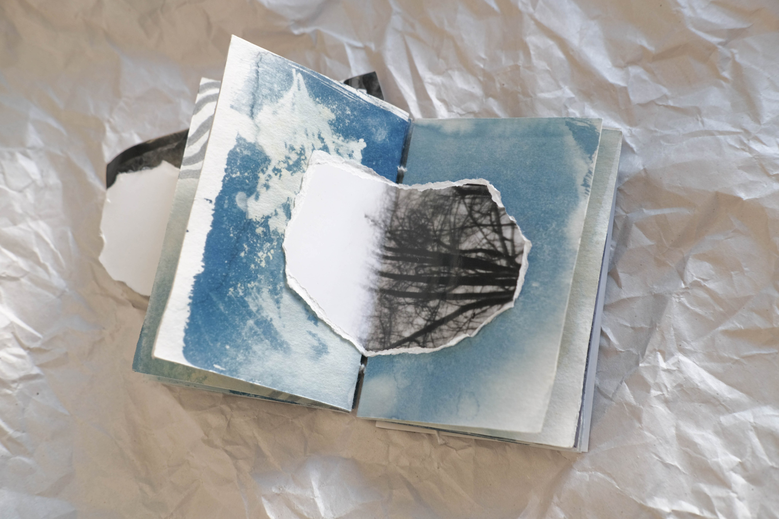 Наблюдатель. Елизавета БаковА