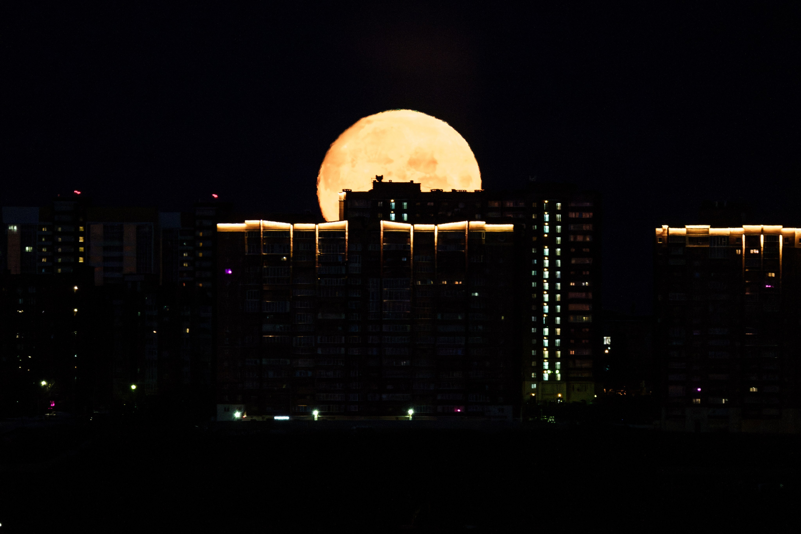 Уходит с уязвлённым самолюбием. Донеал Скнарь — концертный фотограф