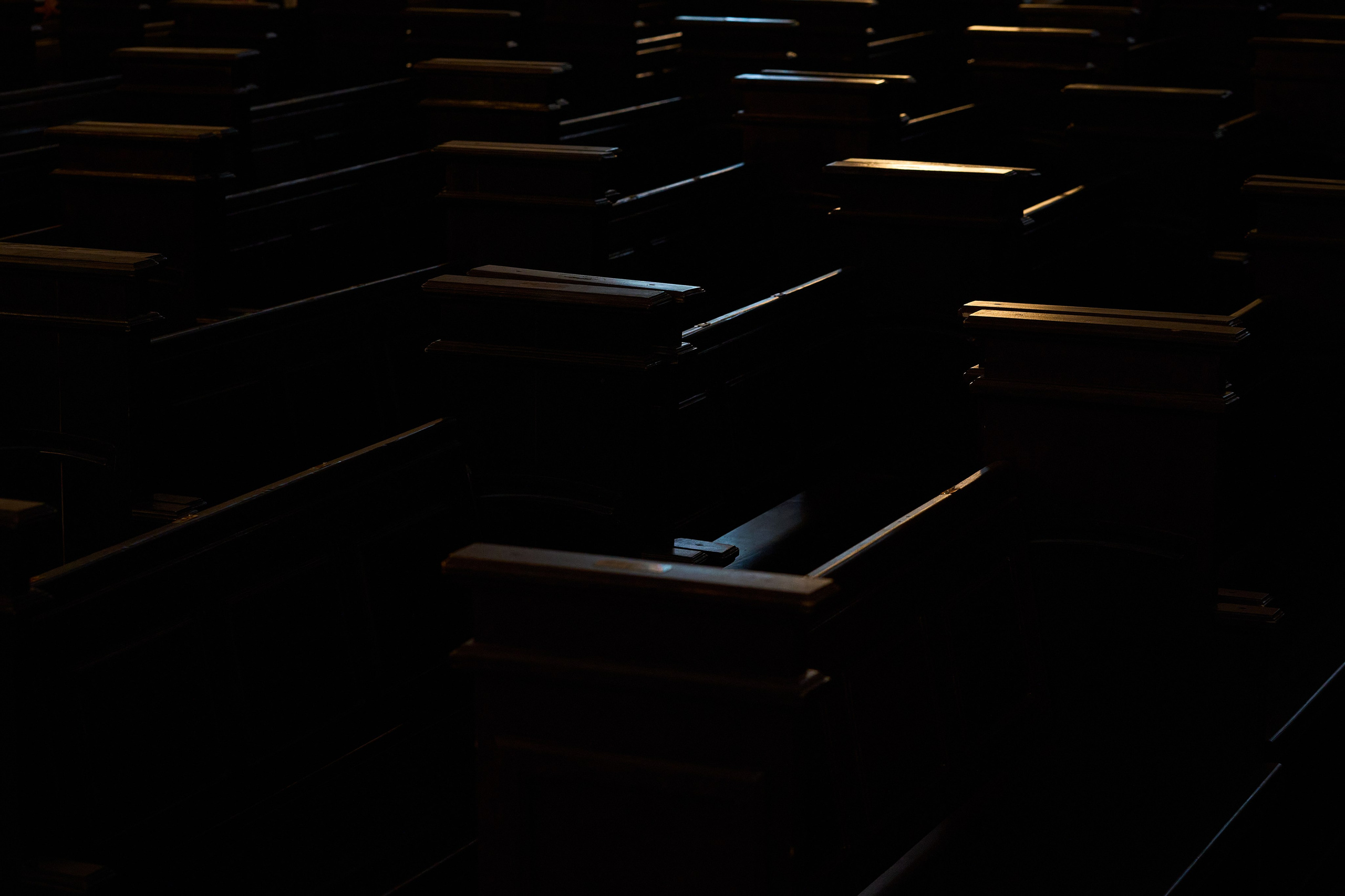 Кафедральный собор. Фотограф в Москве Анастасия Баева