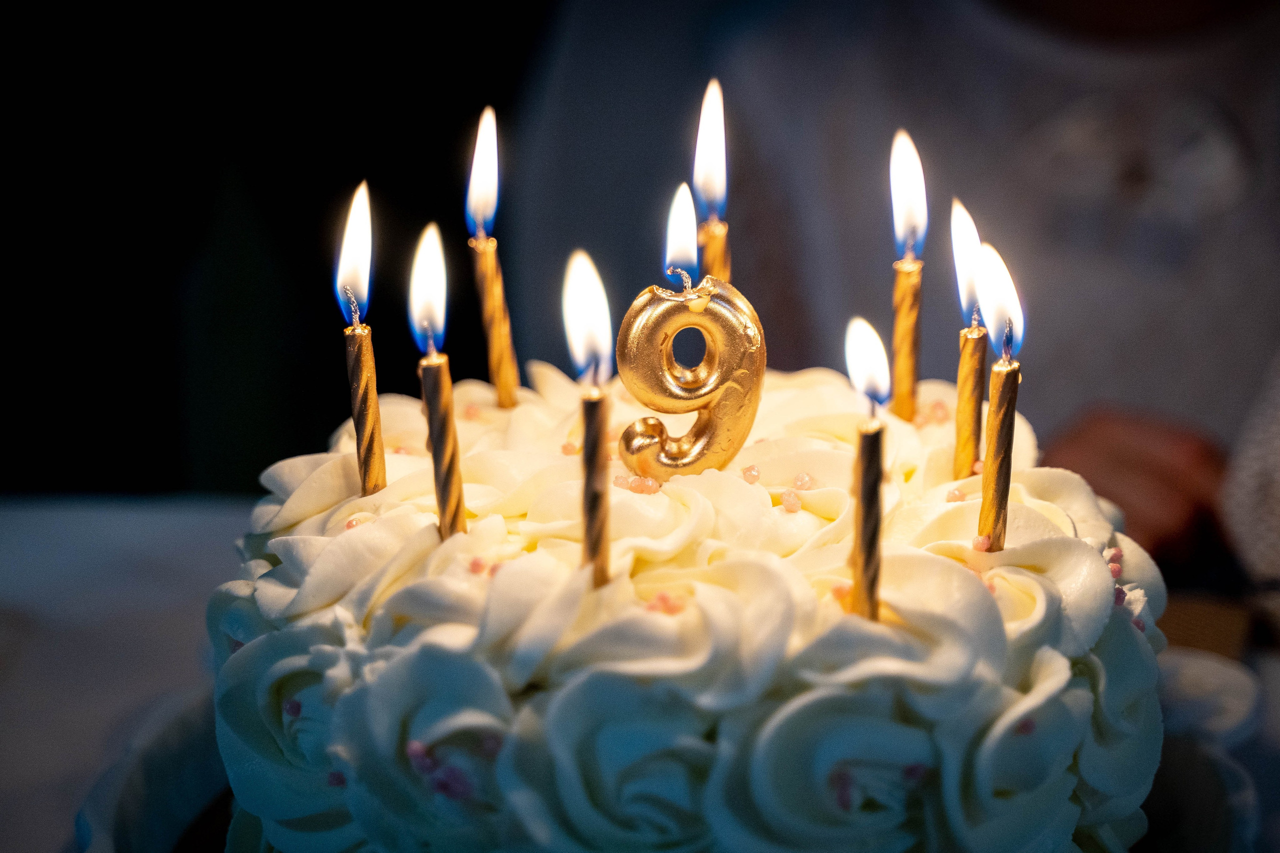 Услуги. Фотограф Губаха Рависа Муллахметова