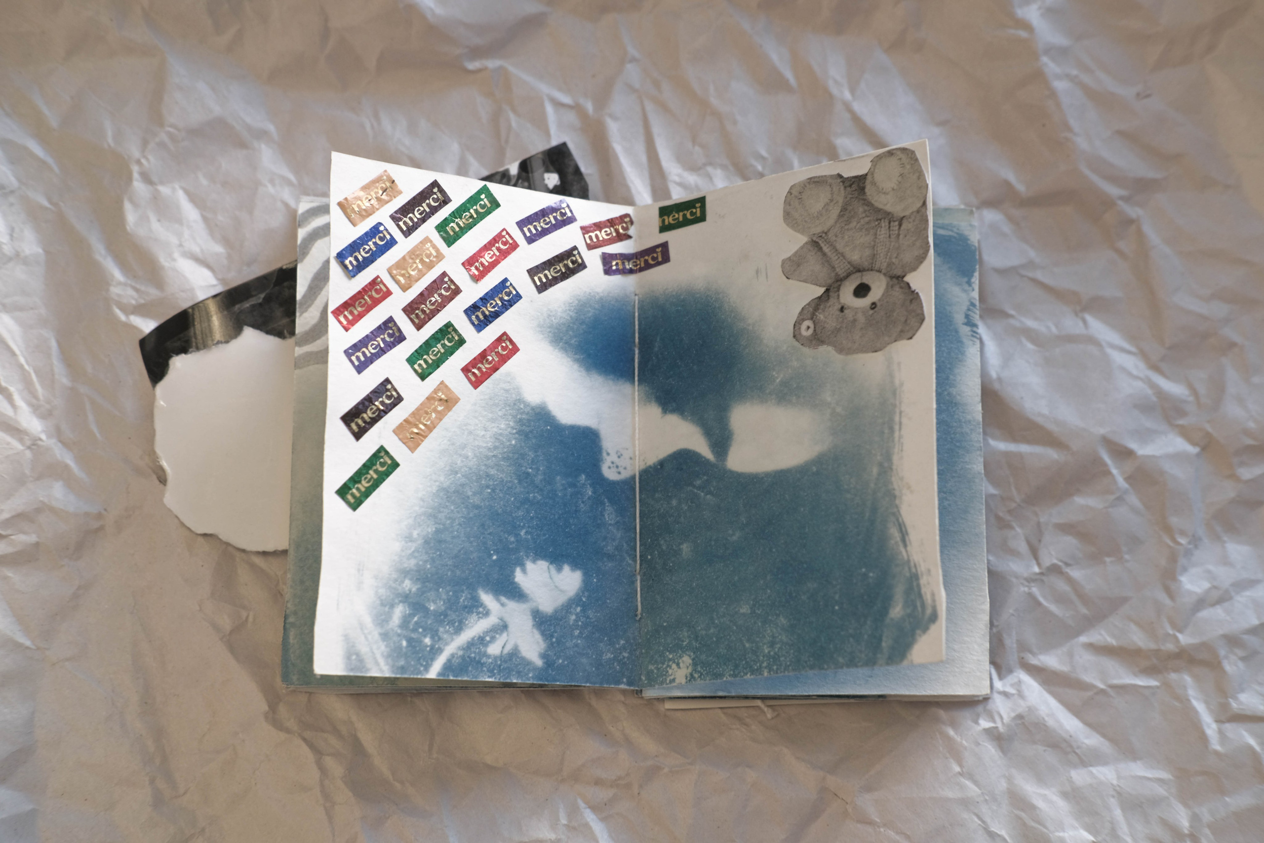 Наблюдатель. Елизавета БаковА