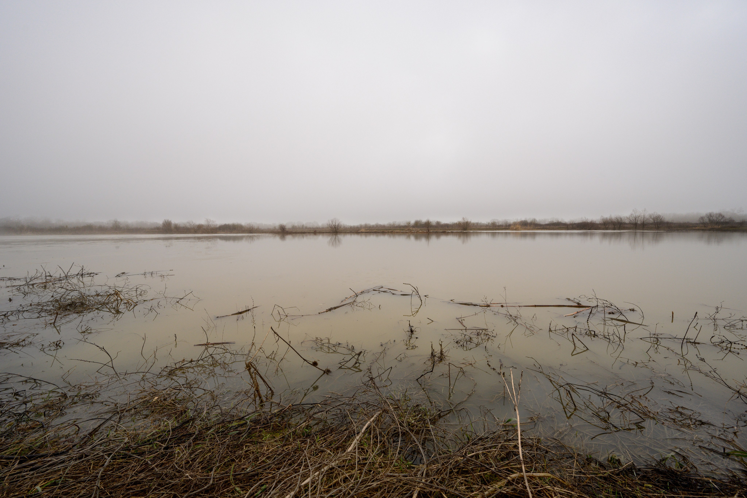 Туманное утро