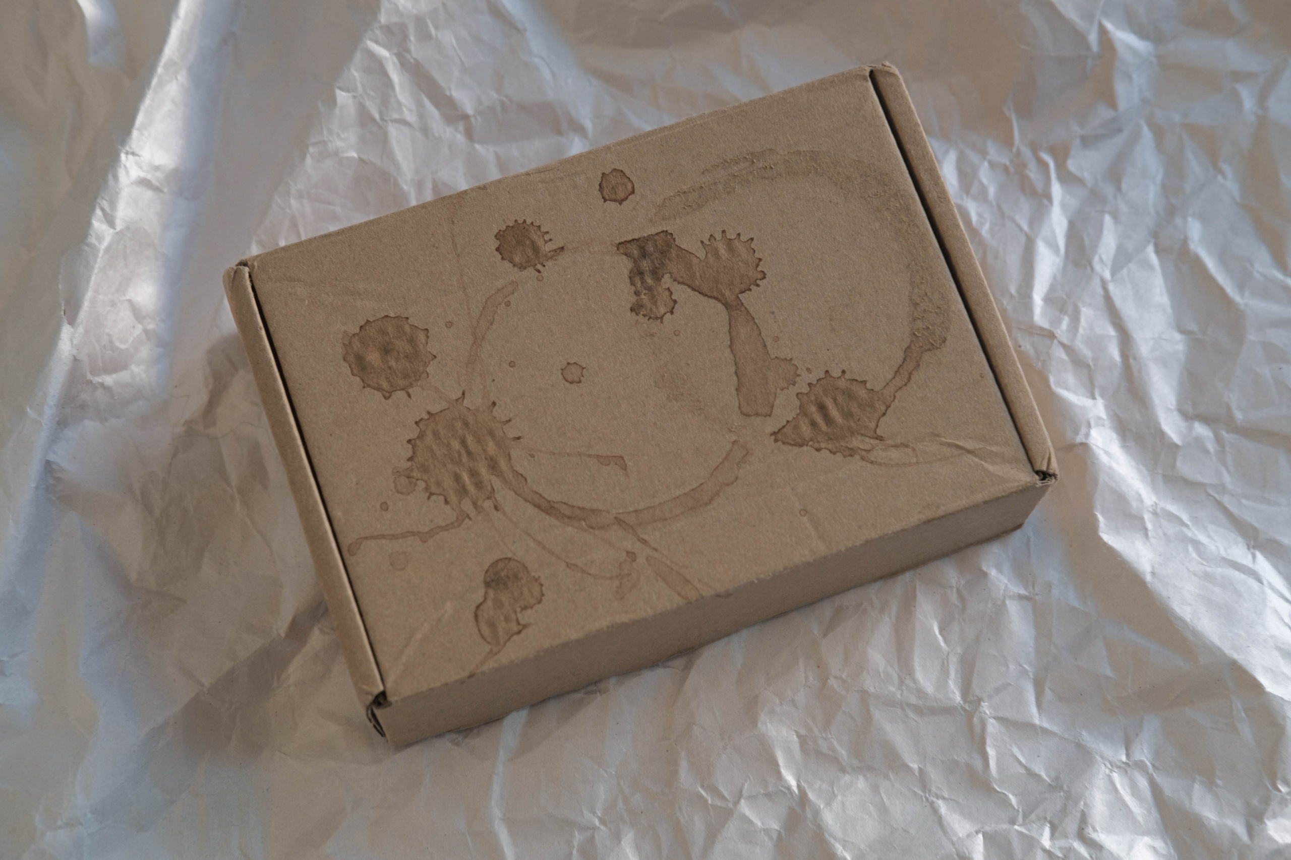 Наблюдатель. Елизавета БаковА