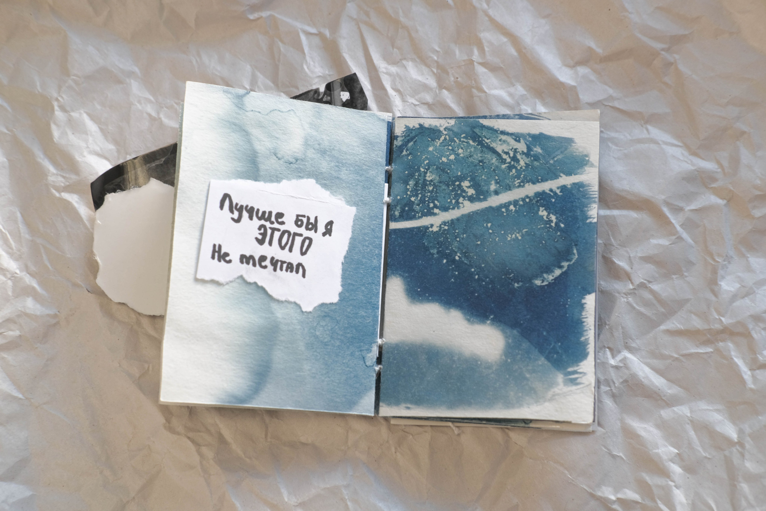 Наблюдатель. Елизавета БаковА