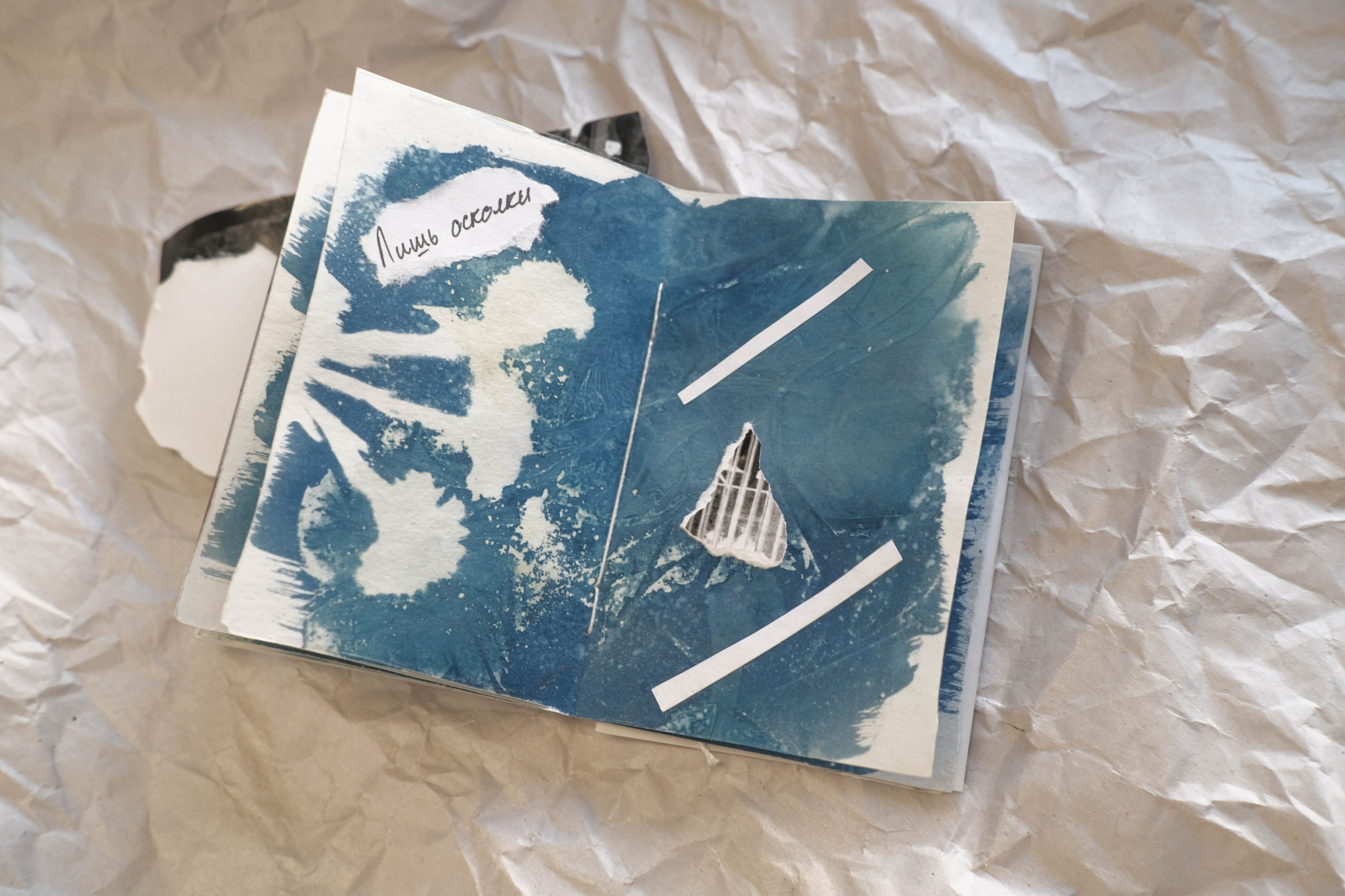 Наблюдатель. Елизавета БаковА