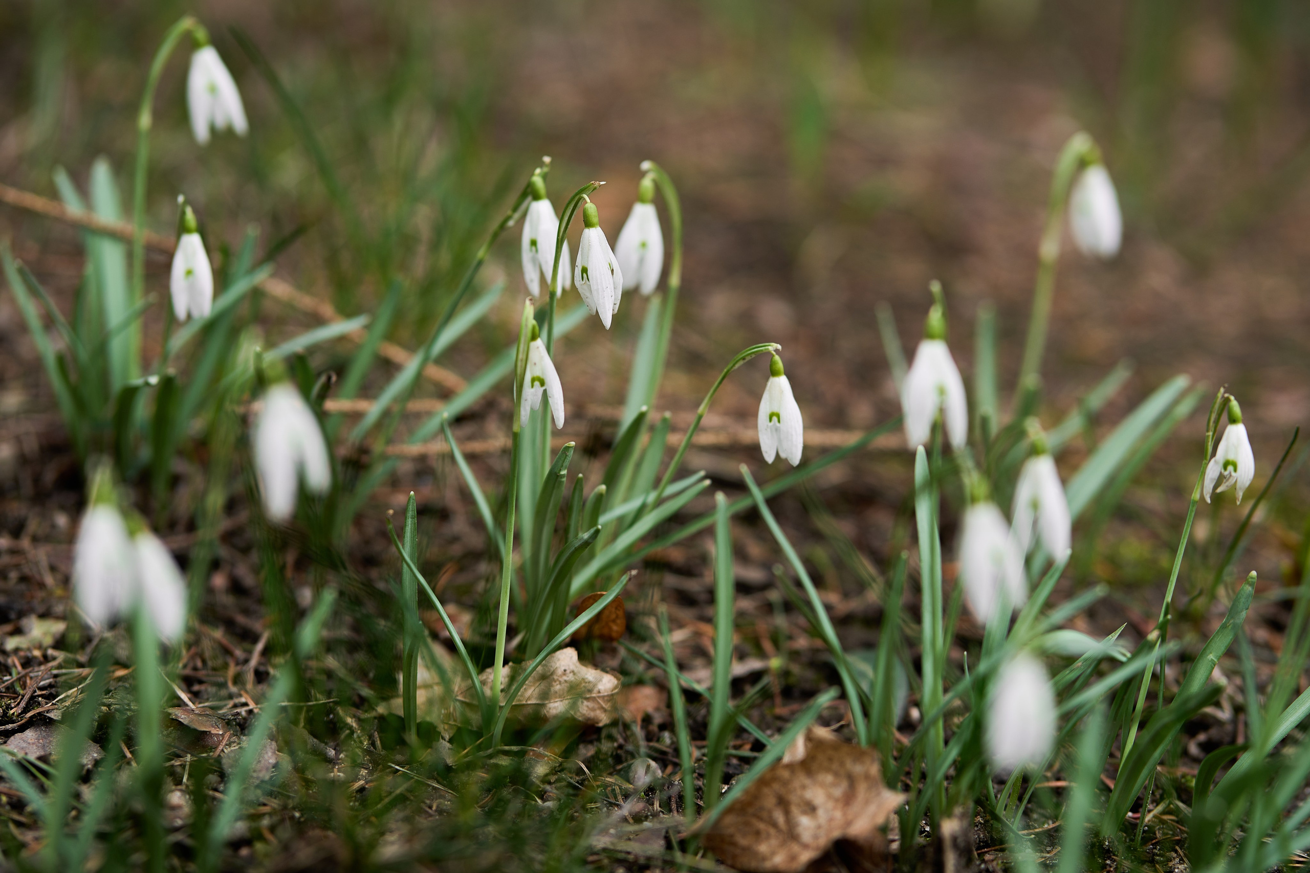 Снова Светлогорск. Фотограф в Москве Анастасия Баева